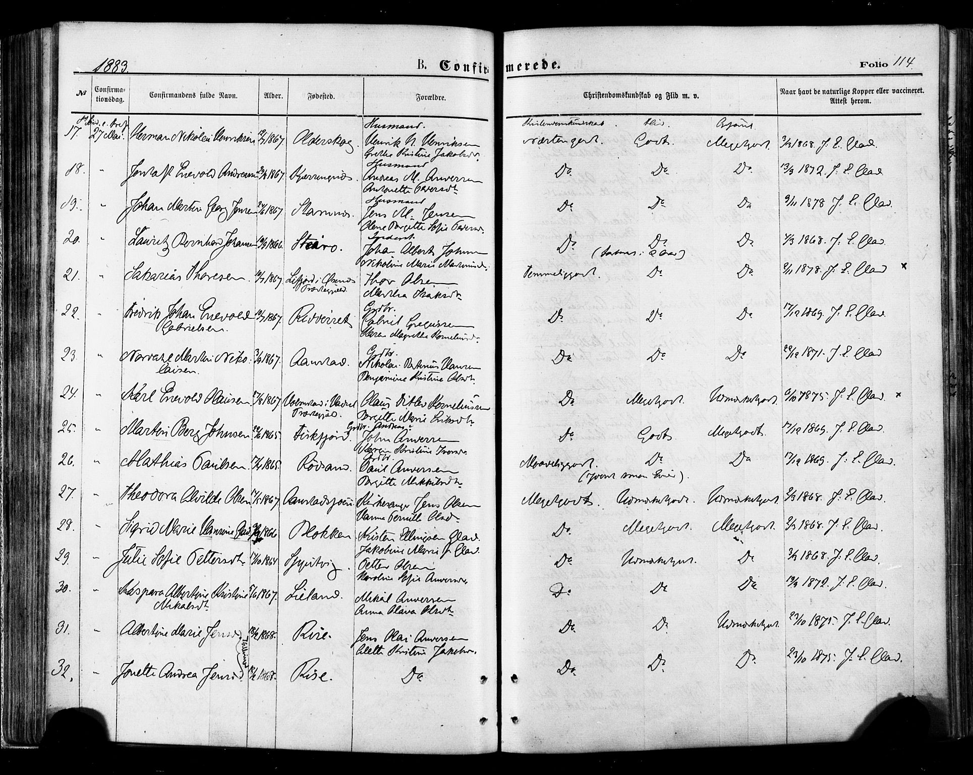 Ministerialprotokoller, klokkerbøker og fødselsregistre - Nordland, AV/SAT-A-1459/895/L1370: Parish register (official) no. 895A05, 1873-1884, p. 114