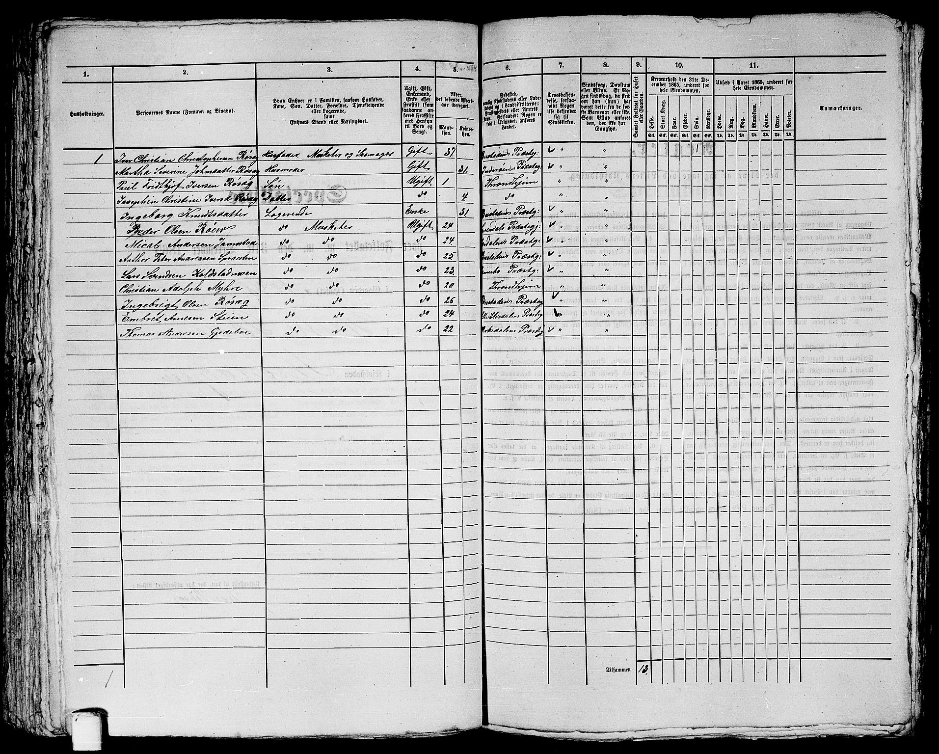 RA, 1865 census for Trondheim, 1865, p. 1735