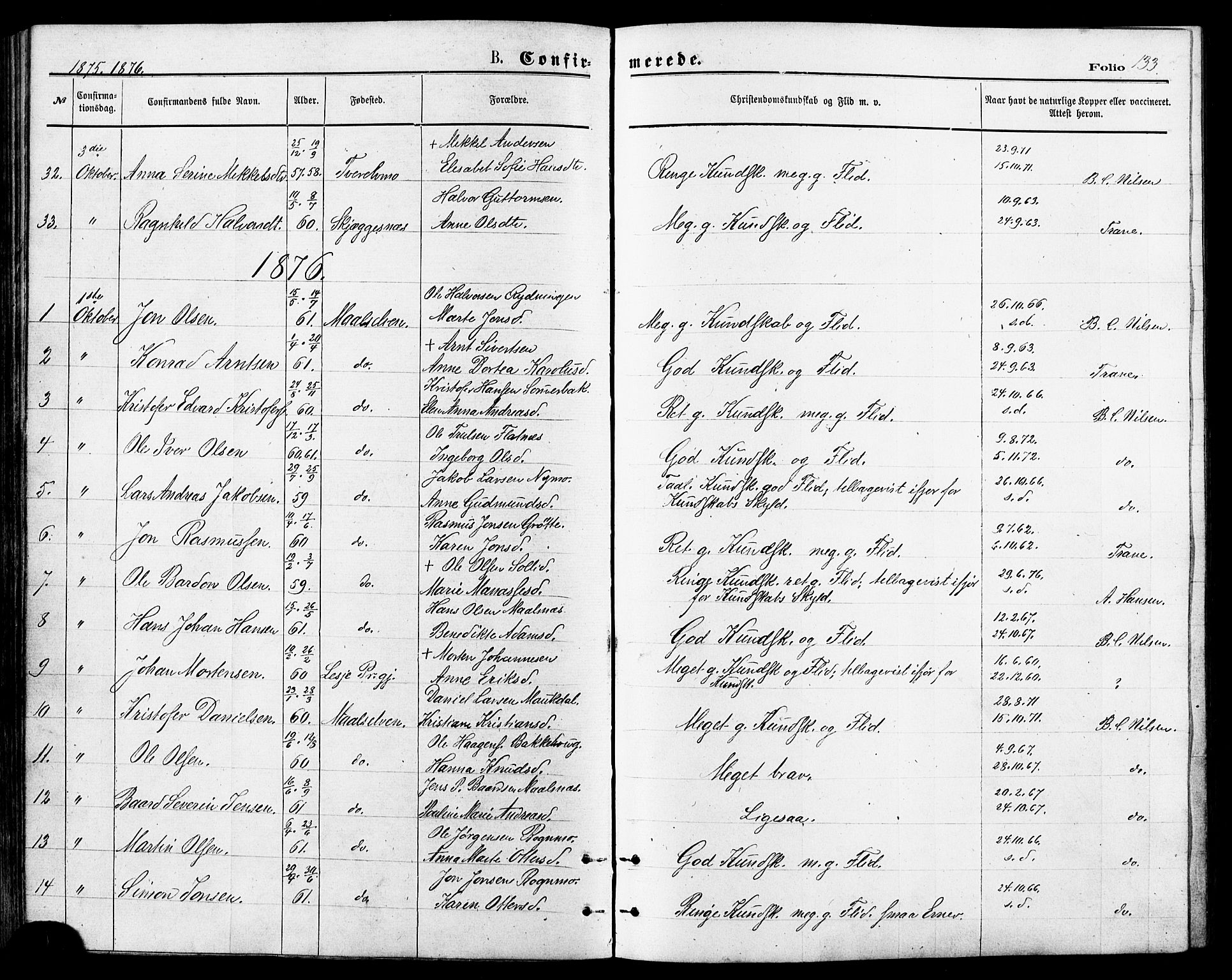Målselv sokneprestembete, AV/SATØ-S-1311/G/Ga/Gaa/L0005kirke: Parish register (official) no. 5, 1872-1884, p. 133