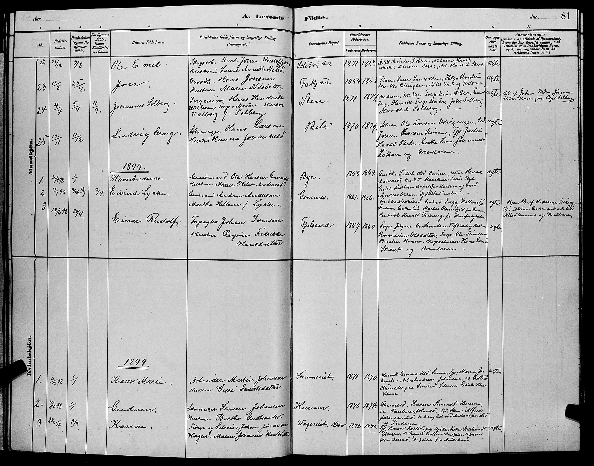 Hole kirkebøker, SAKO/A-228/G/Ga/L0003: Parish register (copy) no. I 3, 1879-1904, p. 81