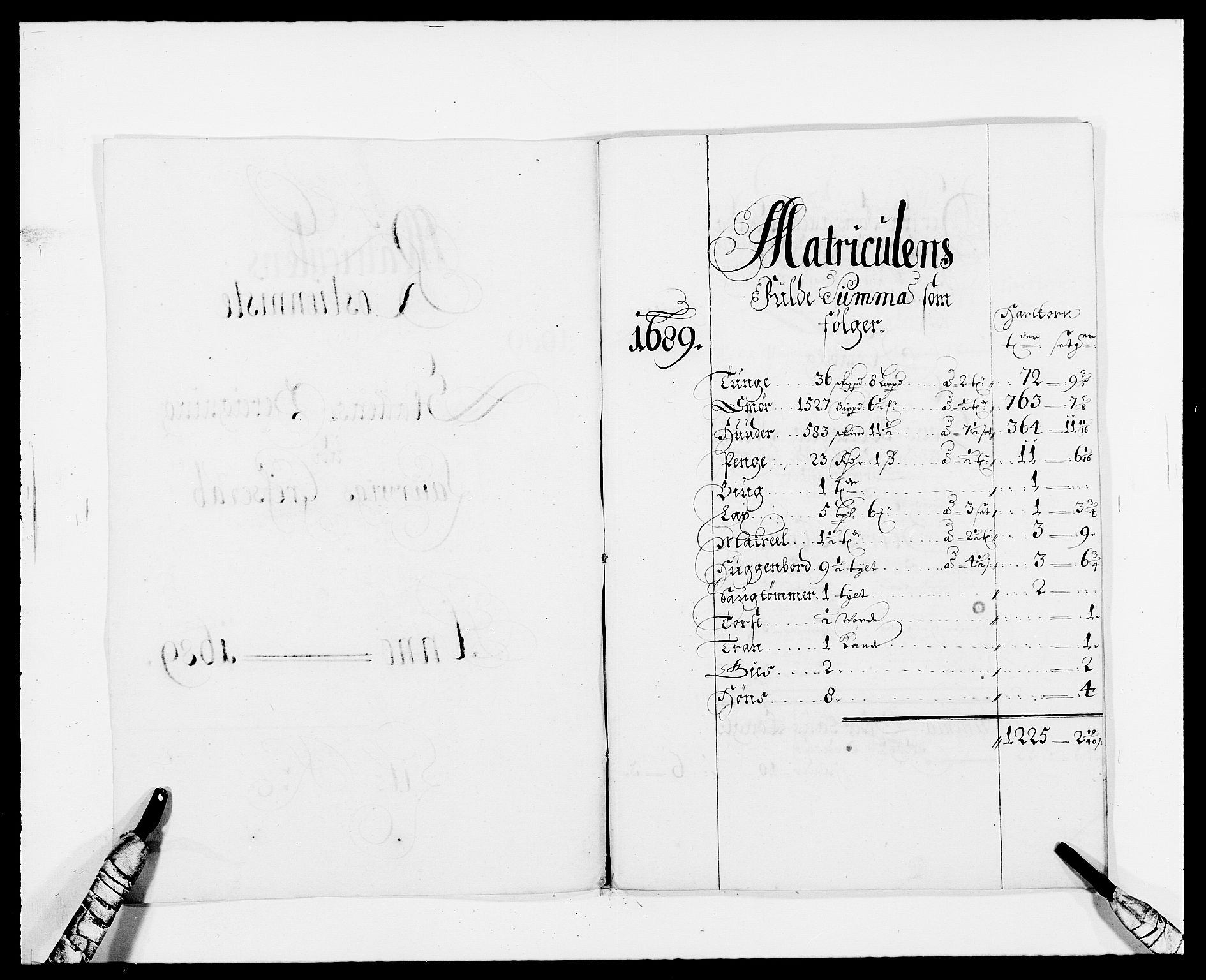 Rentekammeret inntil 1814, Reviderte regnskaper, Fogderegnskap, RA/EA-4092/R33/L1971: Fogderegnskap Larvik grevskap, 1688-1689, p. 292