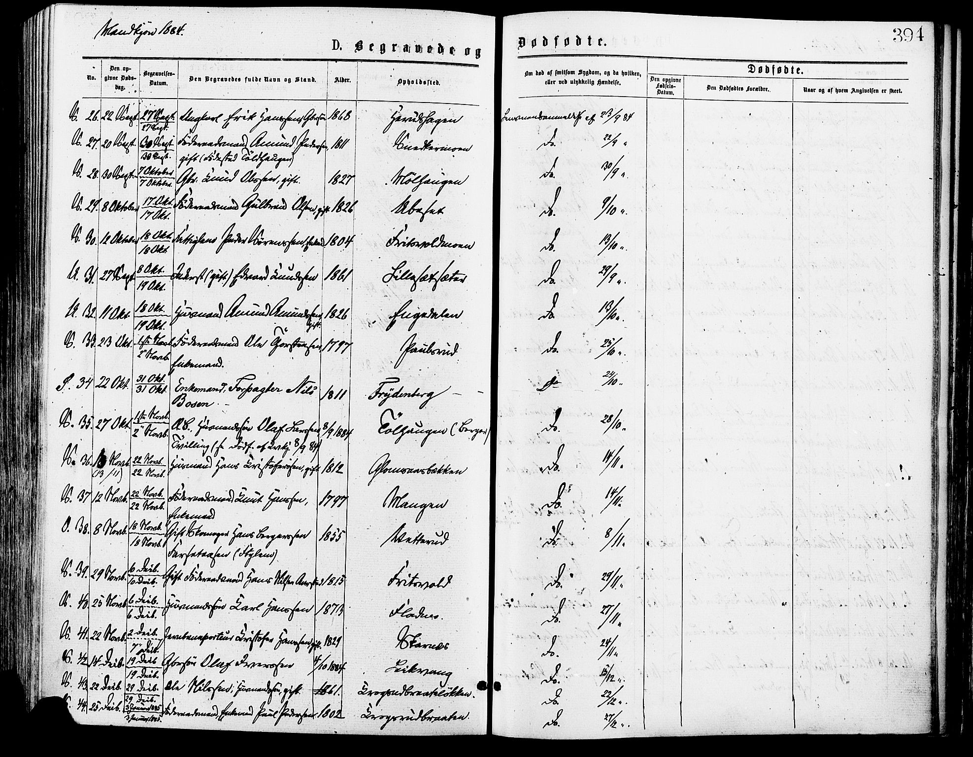 Sør-Odal prestekontor, SAH/PREST-030/H/Ha/Haa/L0005: Parish register (official) no. 5, 1876-1885, p. 394