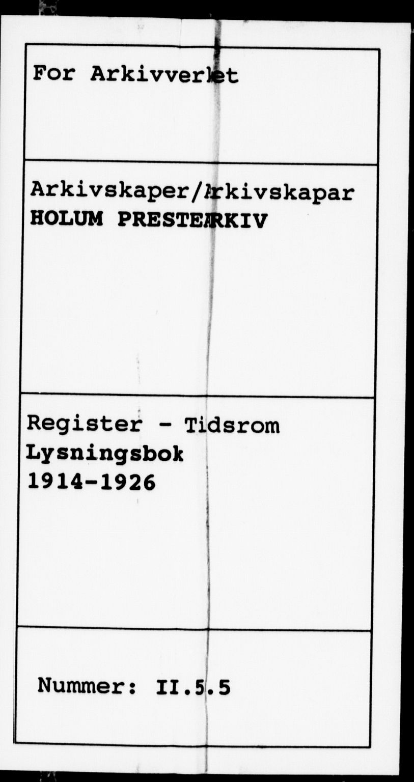 Holum sokneprestkontor, SAK/1111-0022/F/Fe/L0005: Banns register no. II 5 5, 1914-1926