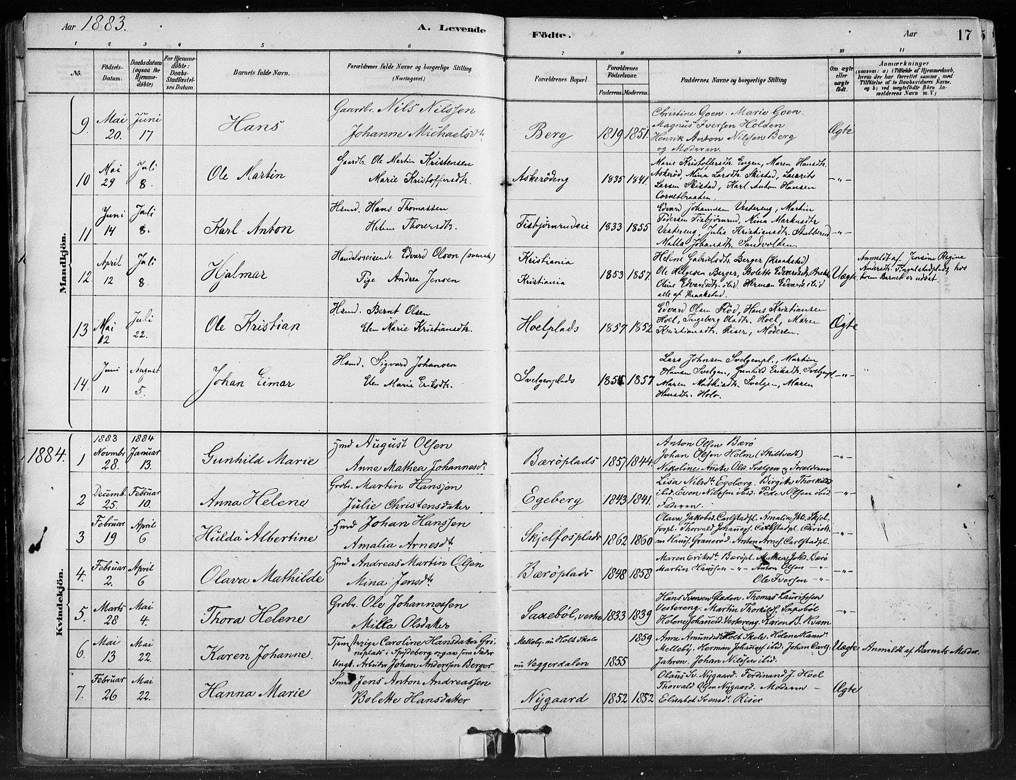 Hobøl prestekontor Kirkebøker, AV/SAO-A-2002/F/Fa/L0005: Parish register (official) no. I 5, 1878-1904, p. 17