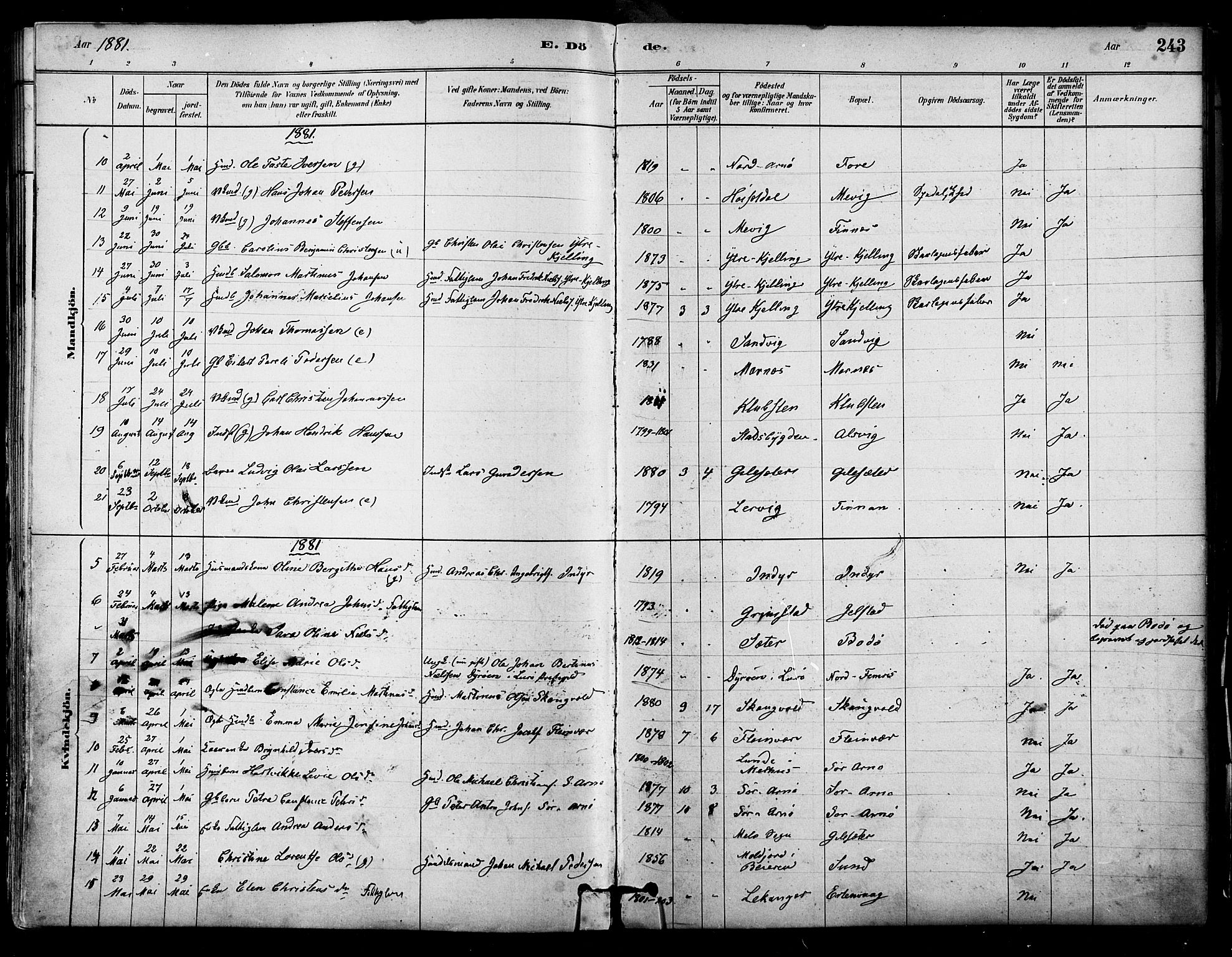 Ministerialprotokoller, klokkerbøker og fødselsregistre - Nordland, AV/SAT-A-1459/805/L0099: Parish register (official) no. 805A06, 1880-1891, p. 243