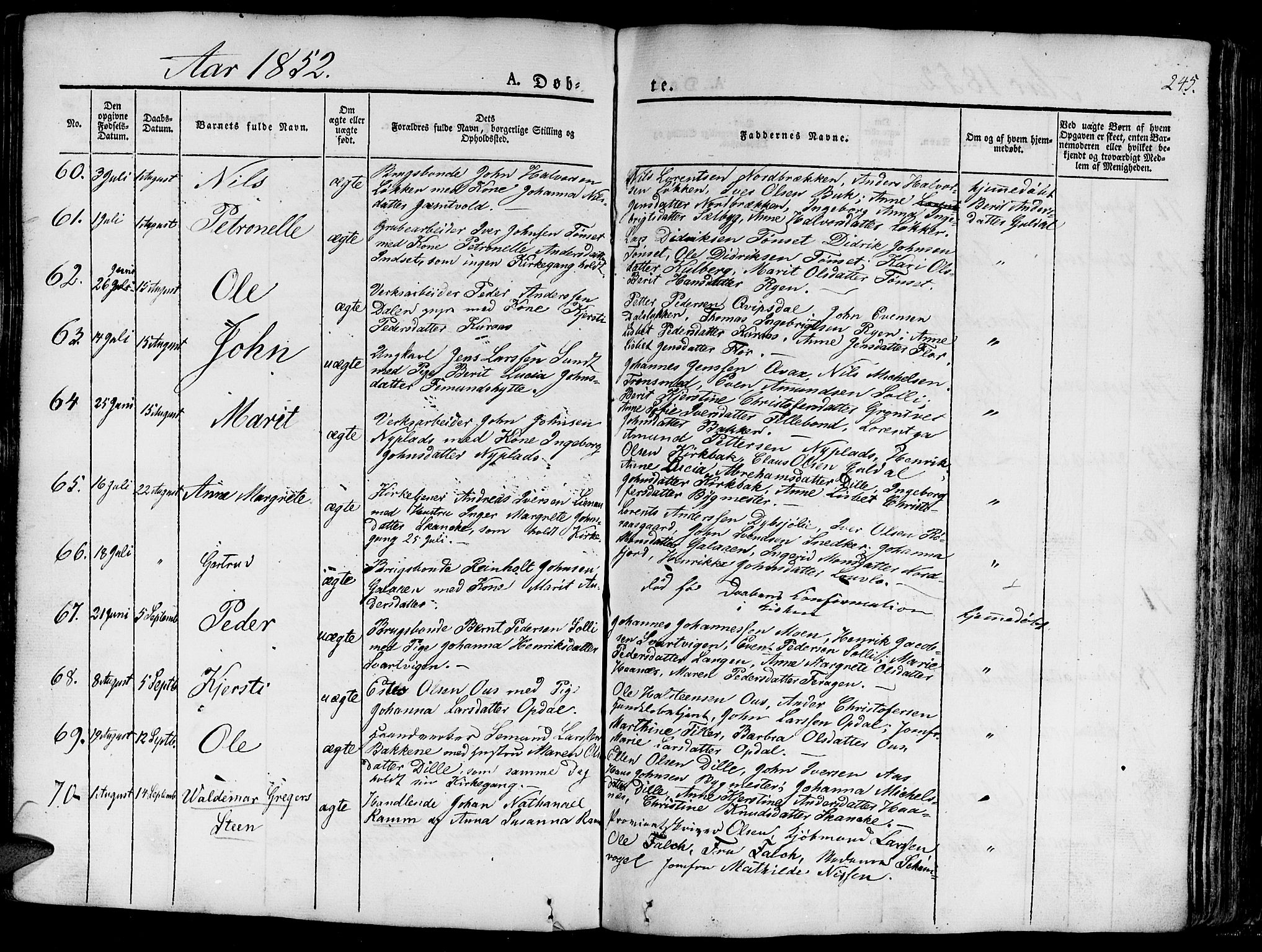 Ministerialprotokoller, klokkerbøker og fødselsregistre - Sør-Trøndelag, SAT/A-1456/681/L0938: Parish register (copy) no. 681C02, 1829-1879, p. 245
