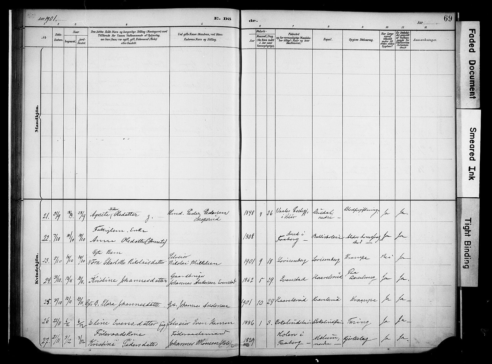 Nes prestekontor, Hedmark, AV/SAH-PREST-020/K/Ka/L0011: Parish register (official) no. 11, 1887-1905, p. 69