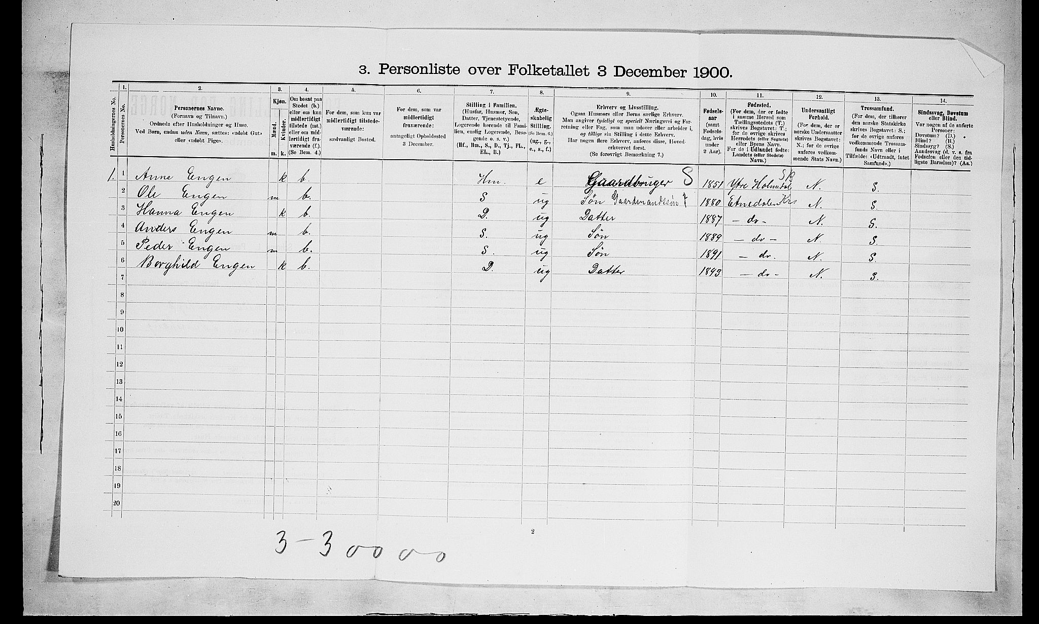 SAH, 1900 census for Nes, 1900, p. 1043