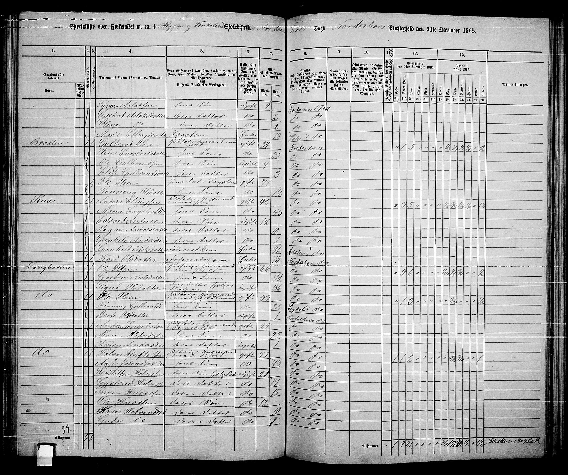 RA, 1865 census for Norderhov/Norderhov, Haug og Lunder, 1865, p. 196