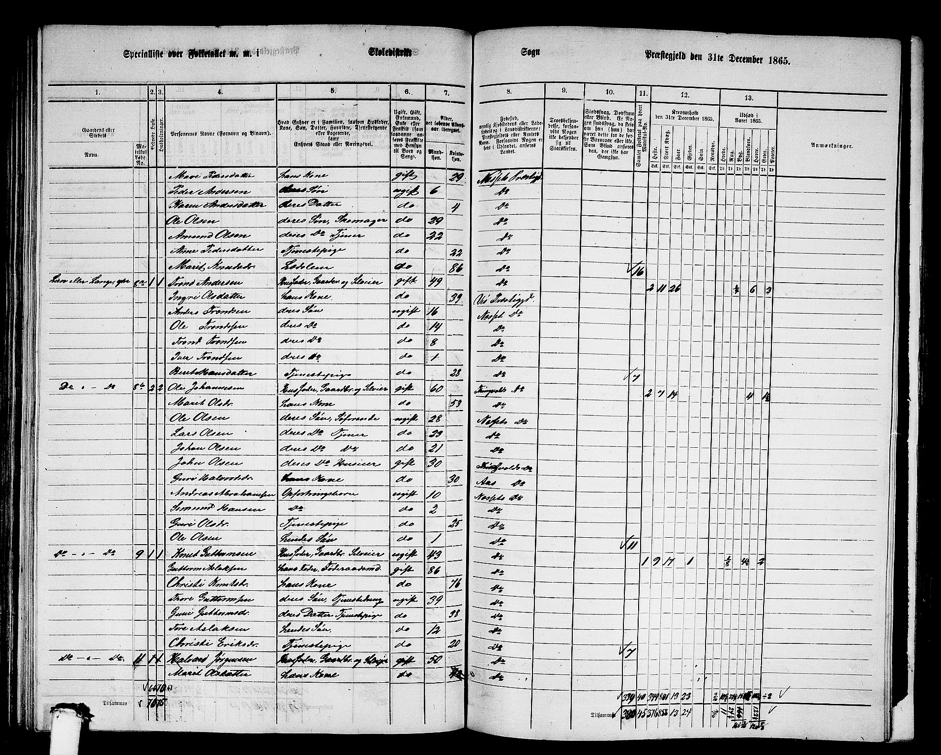 RA, 1865 census for Nesset, 1865, p. 145