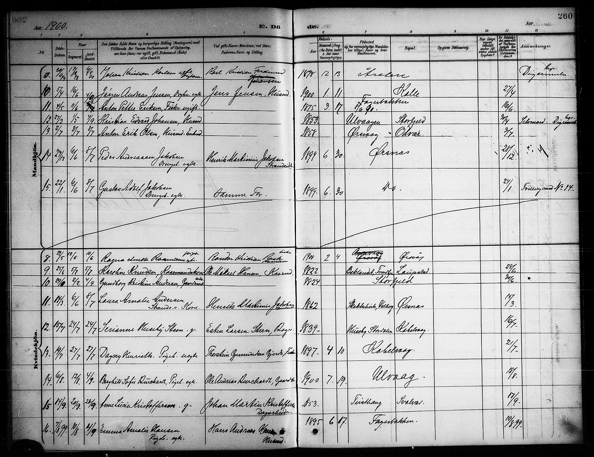 Ministerialprotokoller, klokkerbøker og fødselsregistre - Nordland, SAT/A-1459/874/L1078: Parish register (copy) no. 874C07, 1900-1907, p. 260