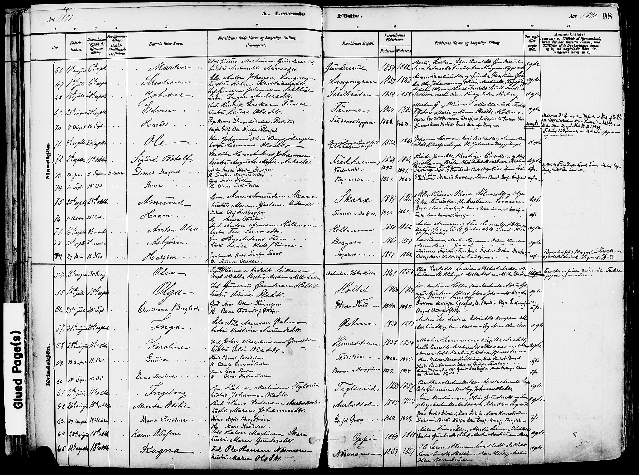 Grue prestekontor, AV/SAH-PREST-036/H/Ha/Haa/L0012: Parish register (official) no. 12, 1881-1897, p. 98