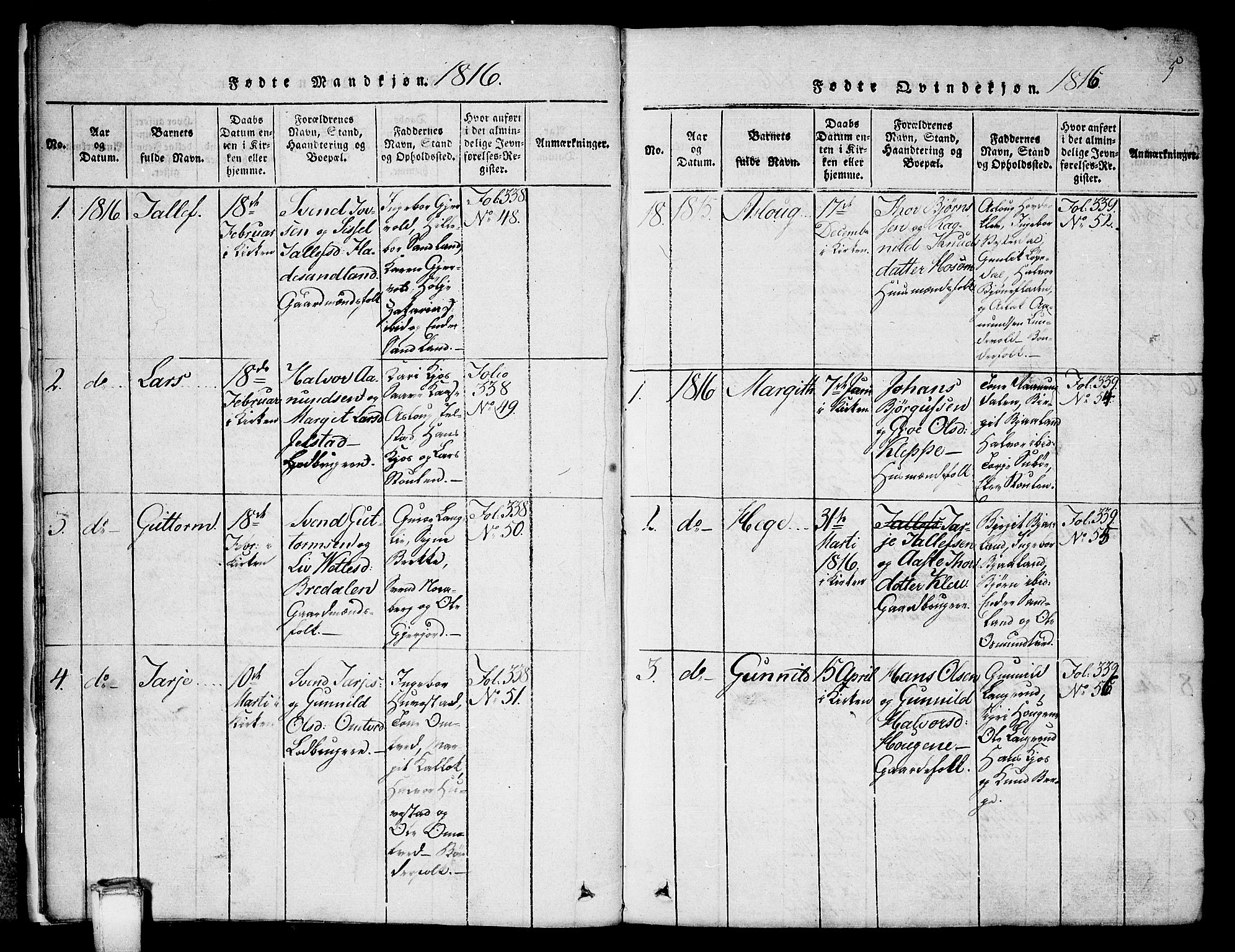 Kviteseid kirkebøker, SAKO/A-276/G/Gb/L0001: Parish register (copy) no. II 1, 1815-1842, p. 5