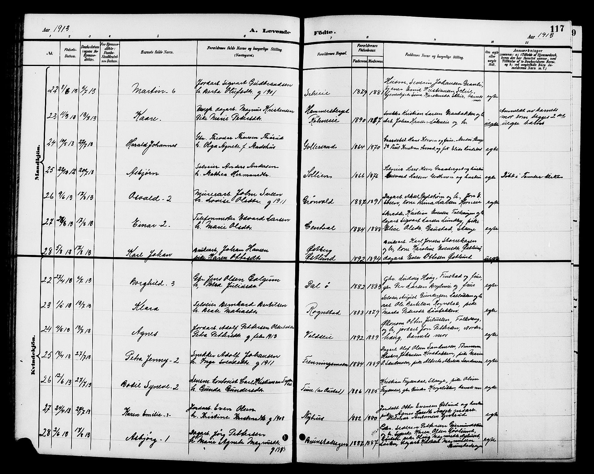 Romedal prestekontor, AV/SAH-PREST-004/L/L0012: Parish register (copy) no. 12, 1896-1914, p. 117