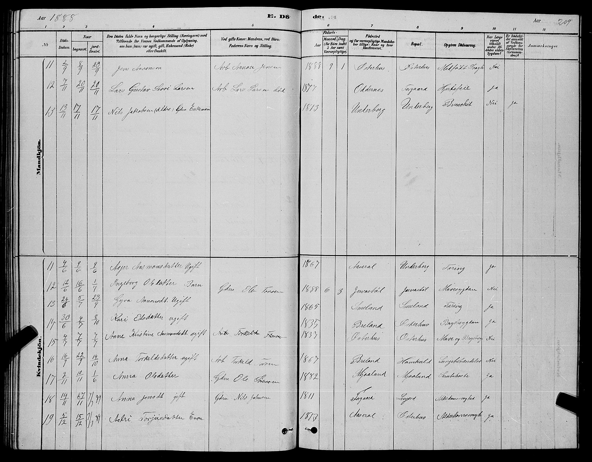 Åseral sokneprestkontor, AV/SAK-1111-0051/F/Fb/L0002: Parish register (copy) no. B 2, 1878-1899, p. 209