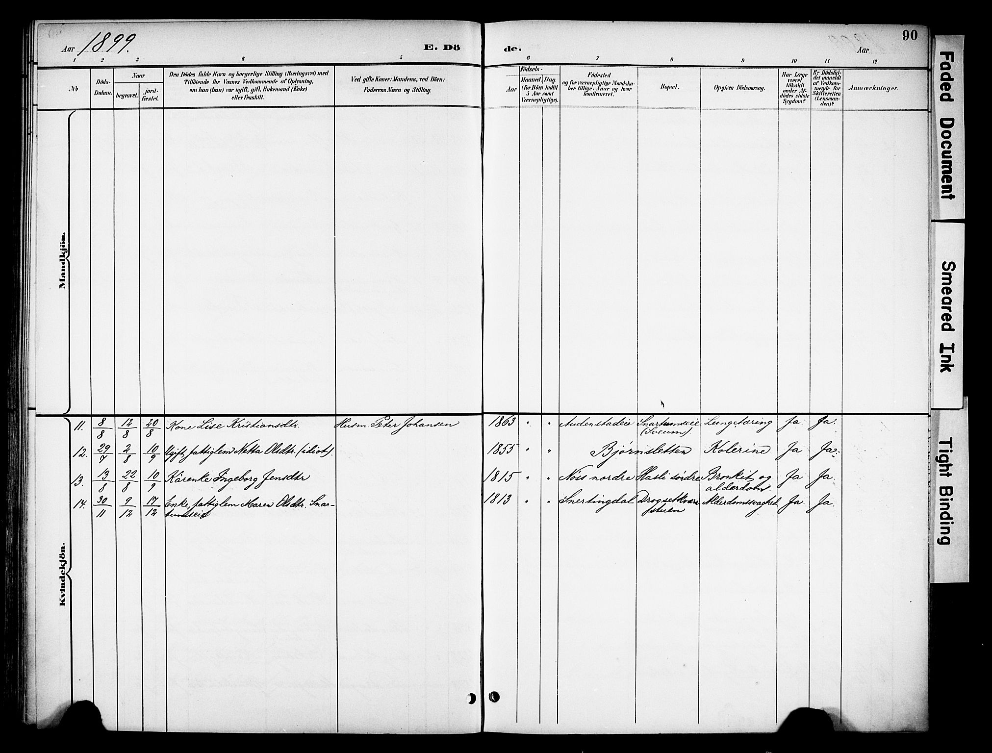 Biri prestekontor, SAH/PREST-096/H/Ha/Haa/L0008: Parish register (official) no. 8, 1894-1901, p. 90