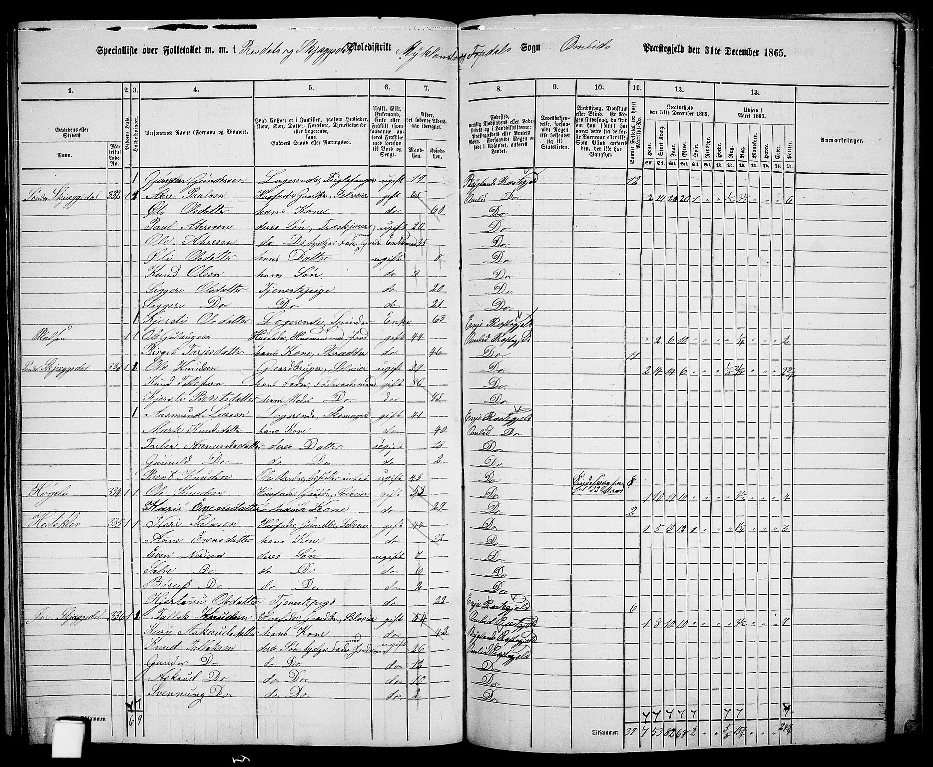 RA, 1865 census for Åmli, 1865, p. 106