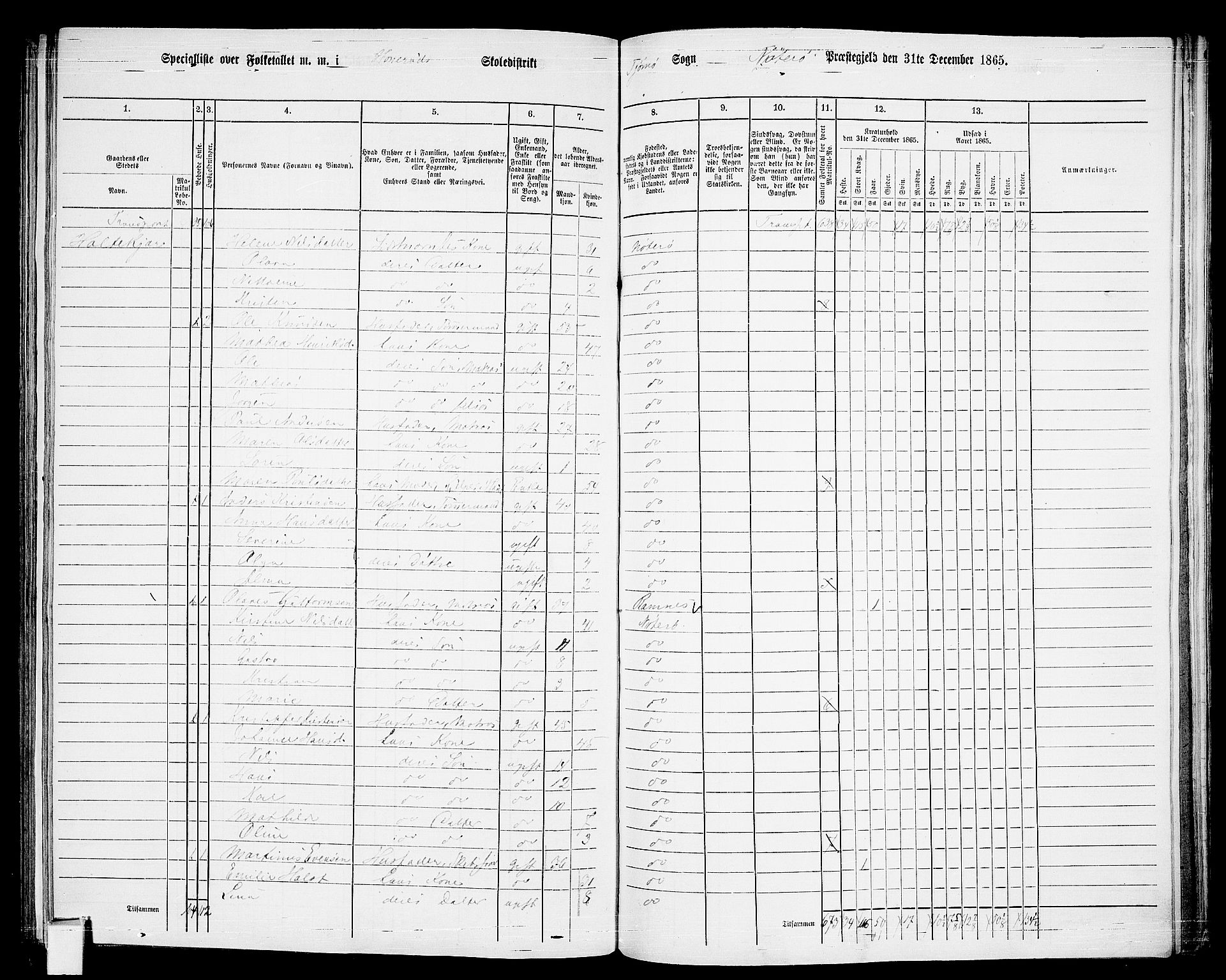 RA, 1865 census for Nøtterøy, 1865, p. 226