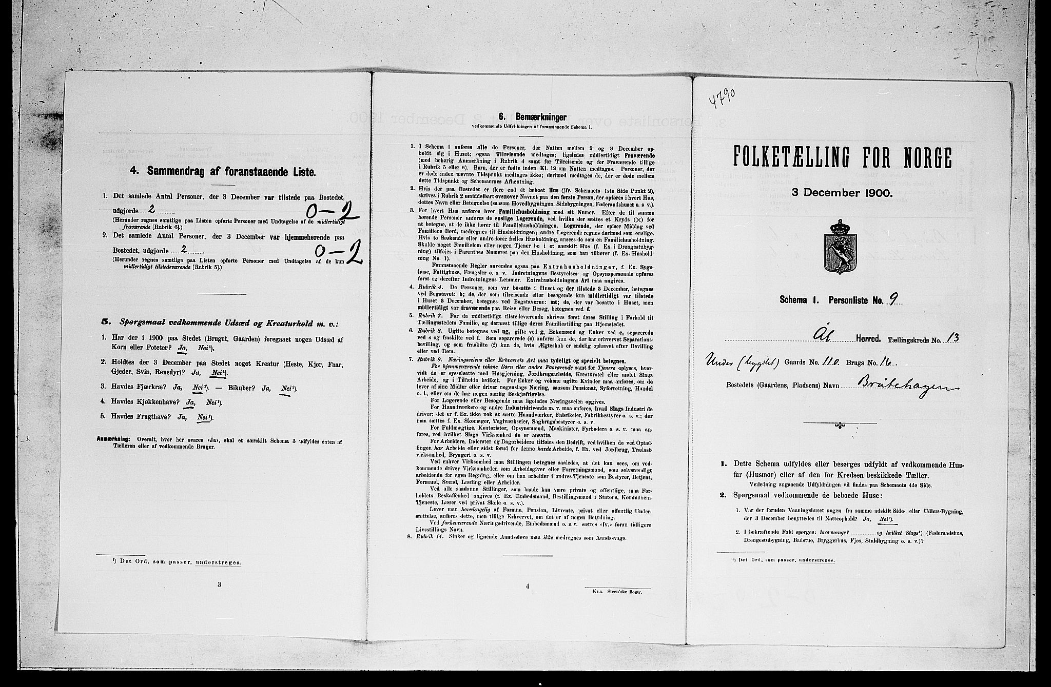 RA, 1900 census for Ål, 1900, p. 1018