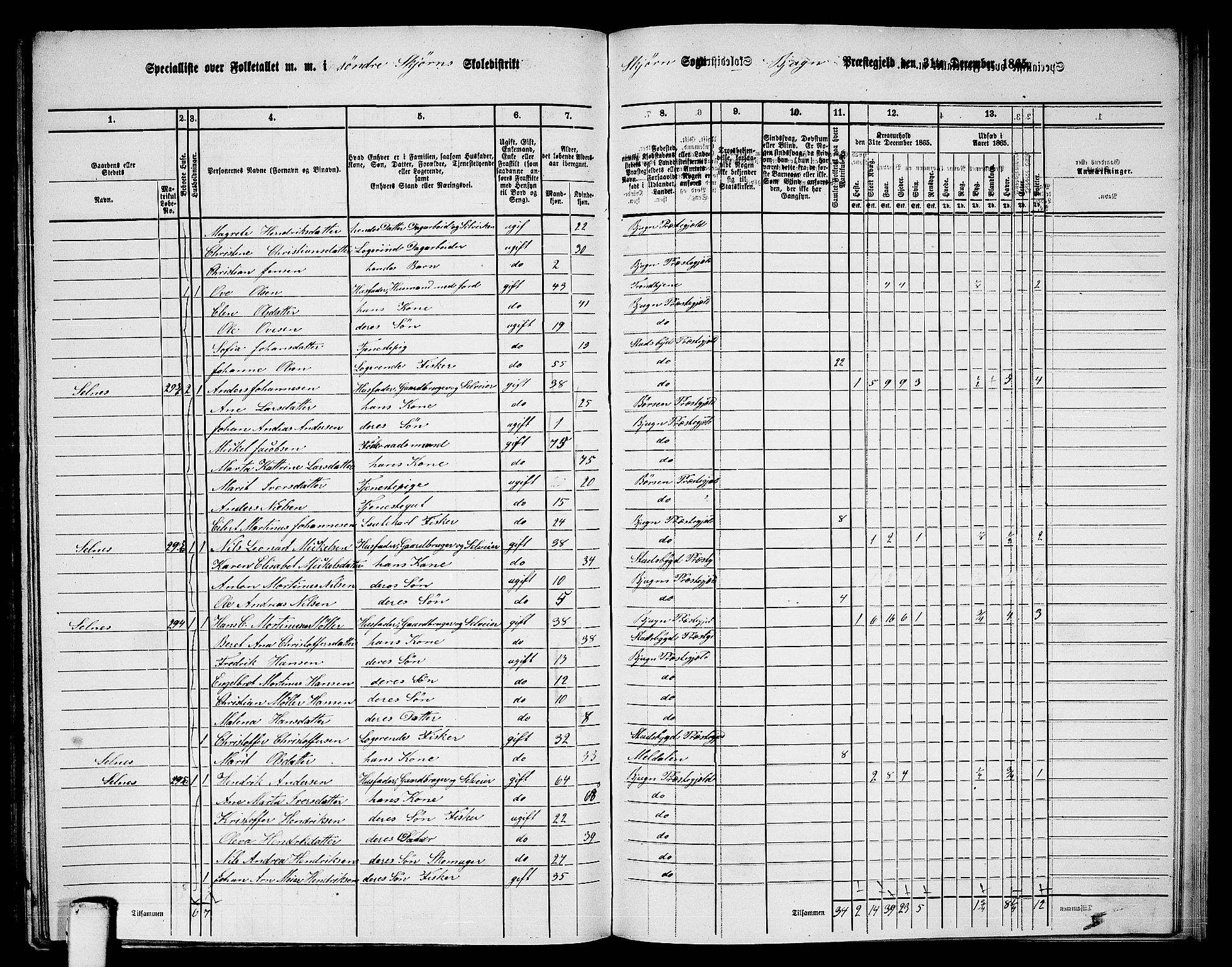 RA, 1865 census for Bjugn, 1865, p. 135