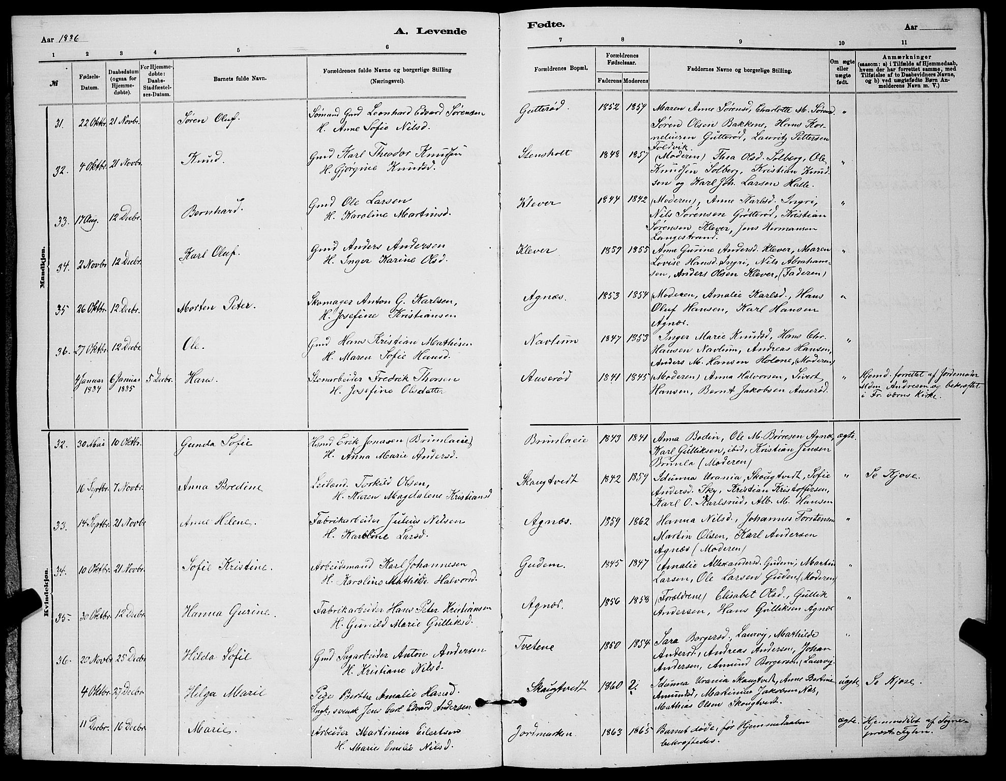 Brunlanes kirkebøker, AV/SAKO-A-342/G/Ga/L0003: Parish register (copy) no. I 3, 1877-1898