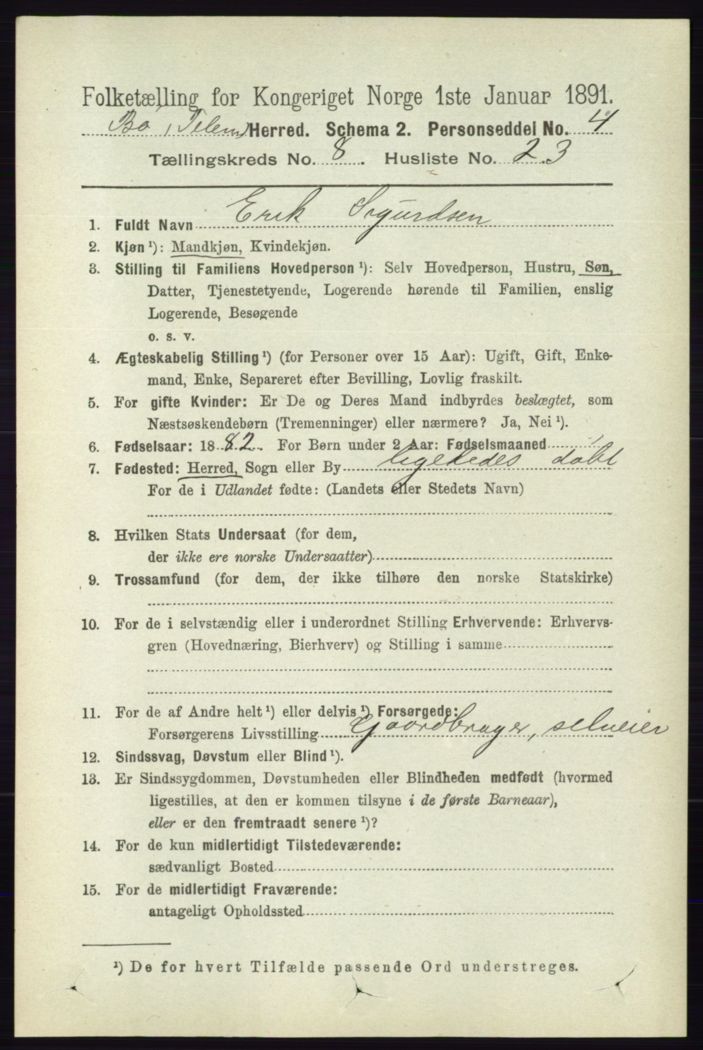 RA, 1891 census for 0821 Bø, 1891, p. 2678