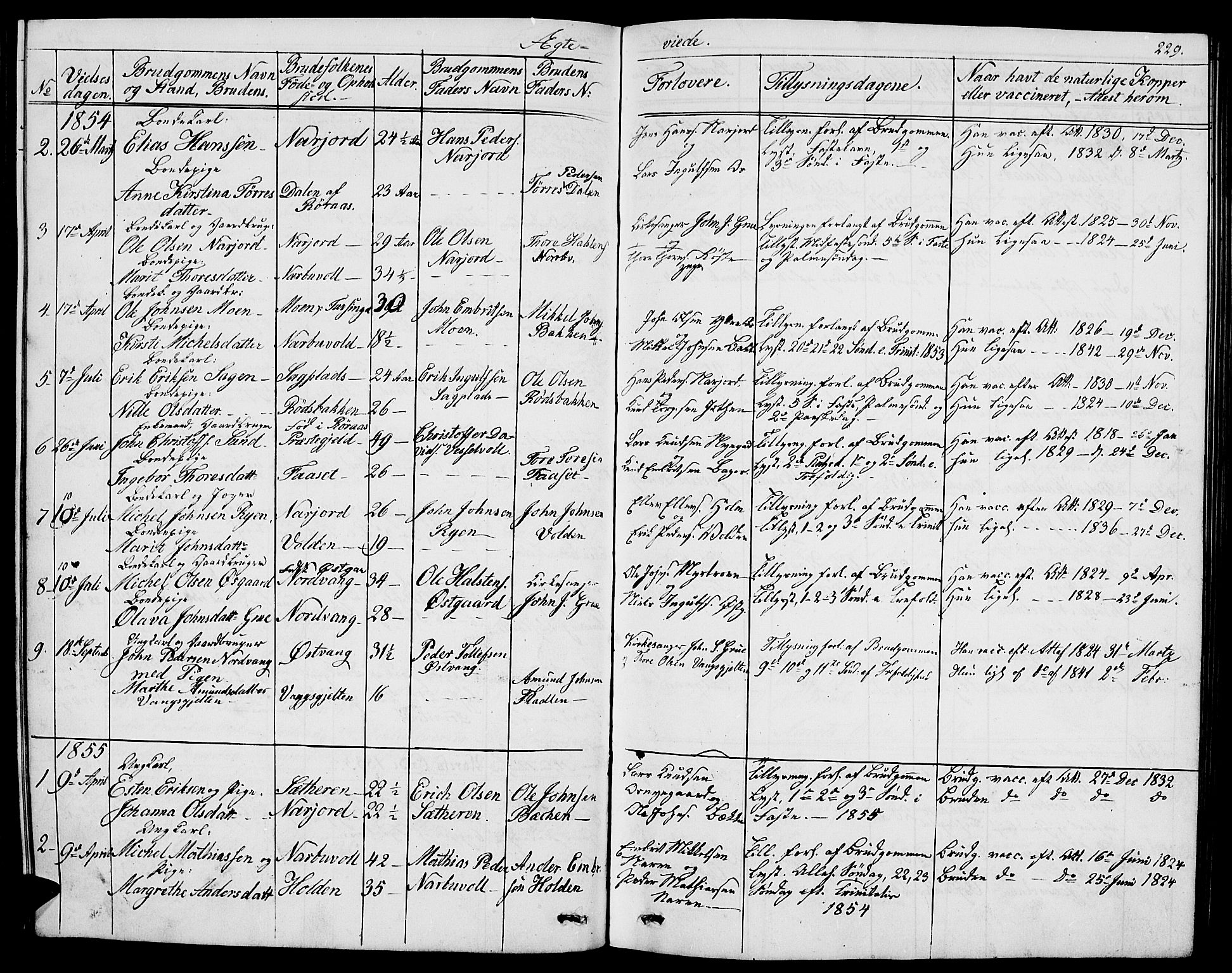 Tolga prestekontor, SAH/PREST-062/L/L0004: Parish register (copy) no. 4, 1845-1887, p. 229
