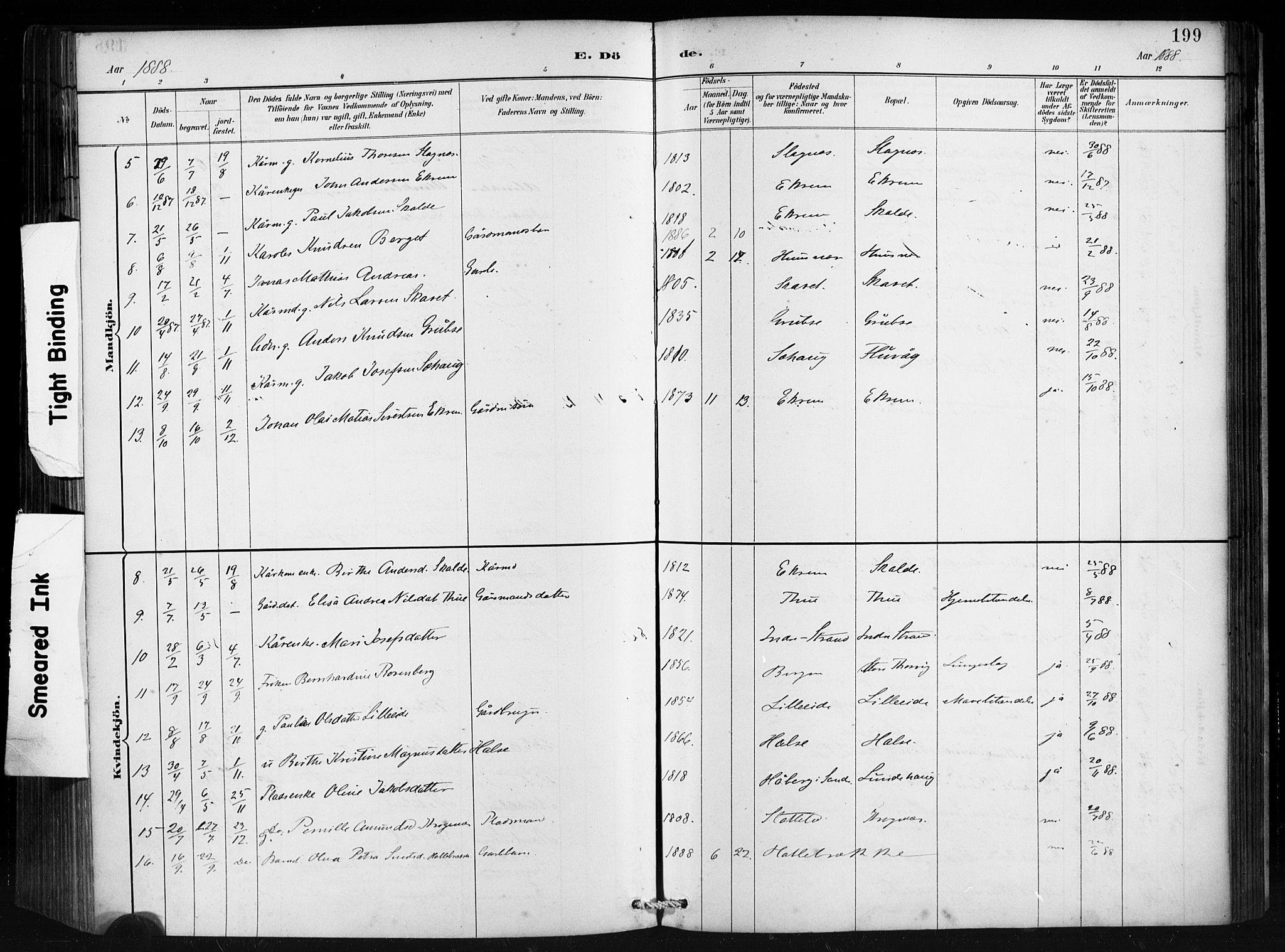 Ministerialprotokoller, klokkerbøker og fødselsregistre - Møre og Romsdal, AV/SAT-A-1454/501/L0008: Parish register (official) no. 501A08, 1885-1901, p. 199