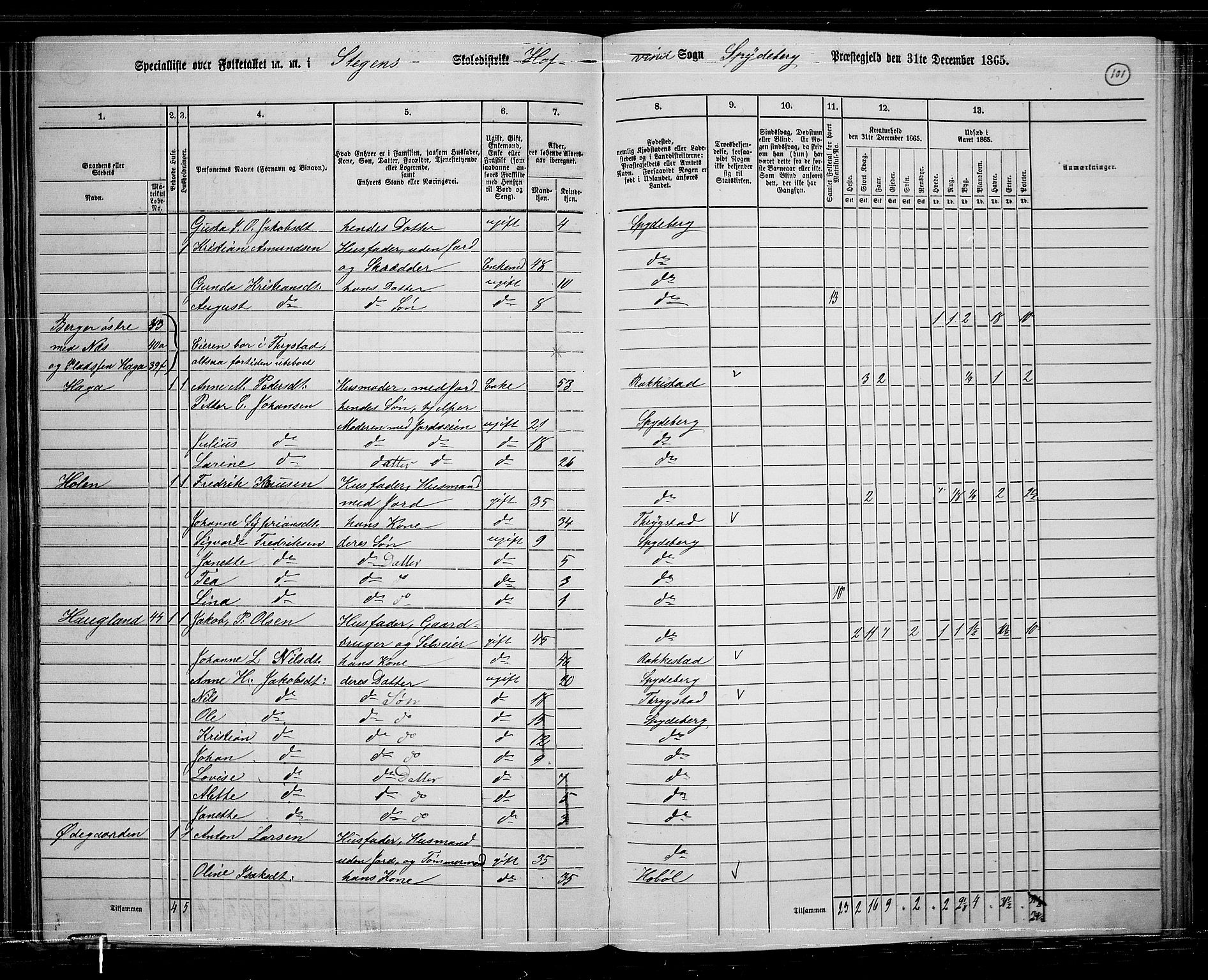 RA, 1865 census for Spydeberg, 1865, p. 89