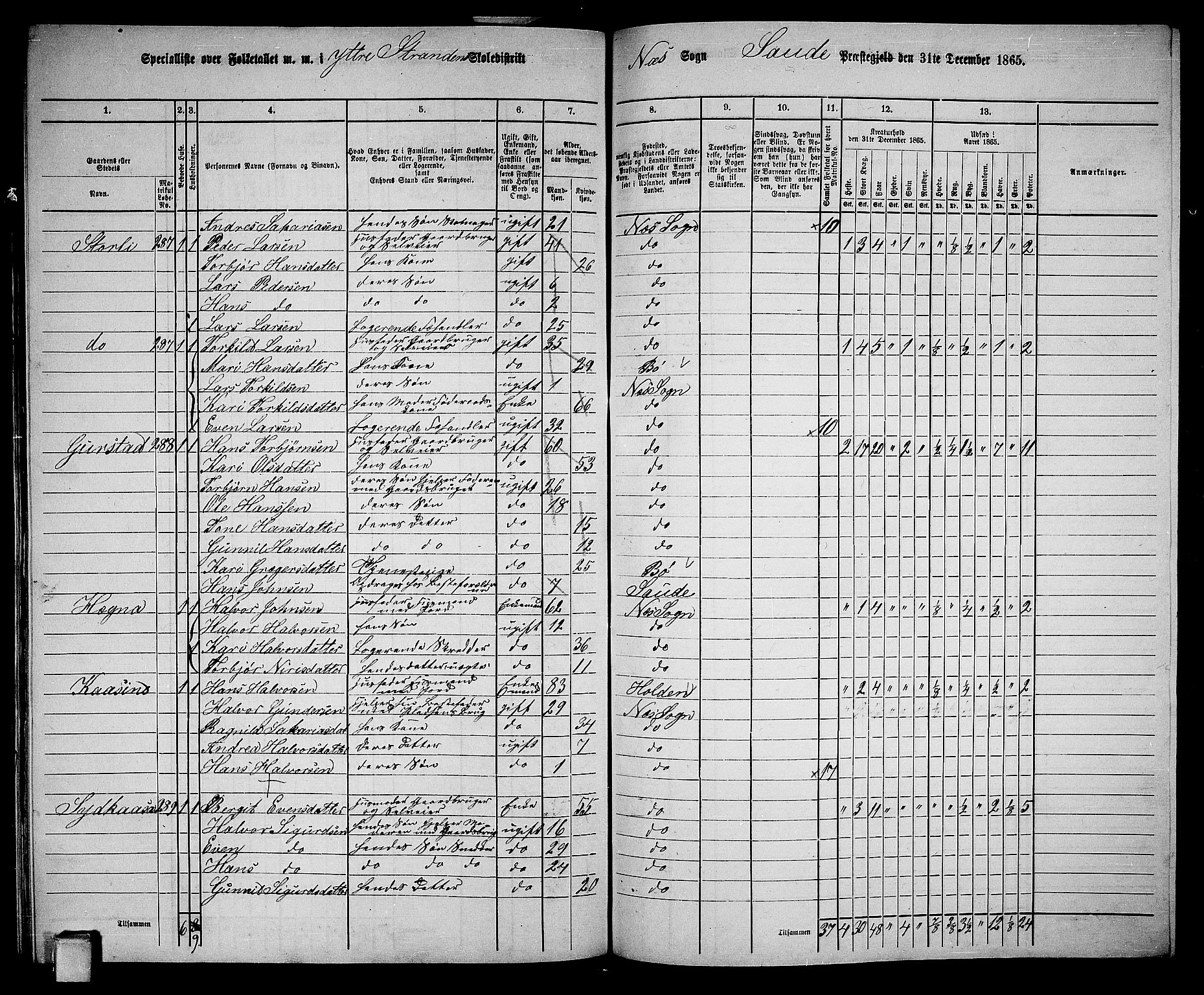 RA, 1865 census for Sauherad, 1865, p. 170