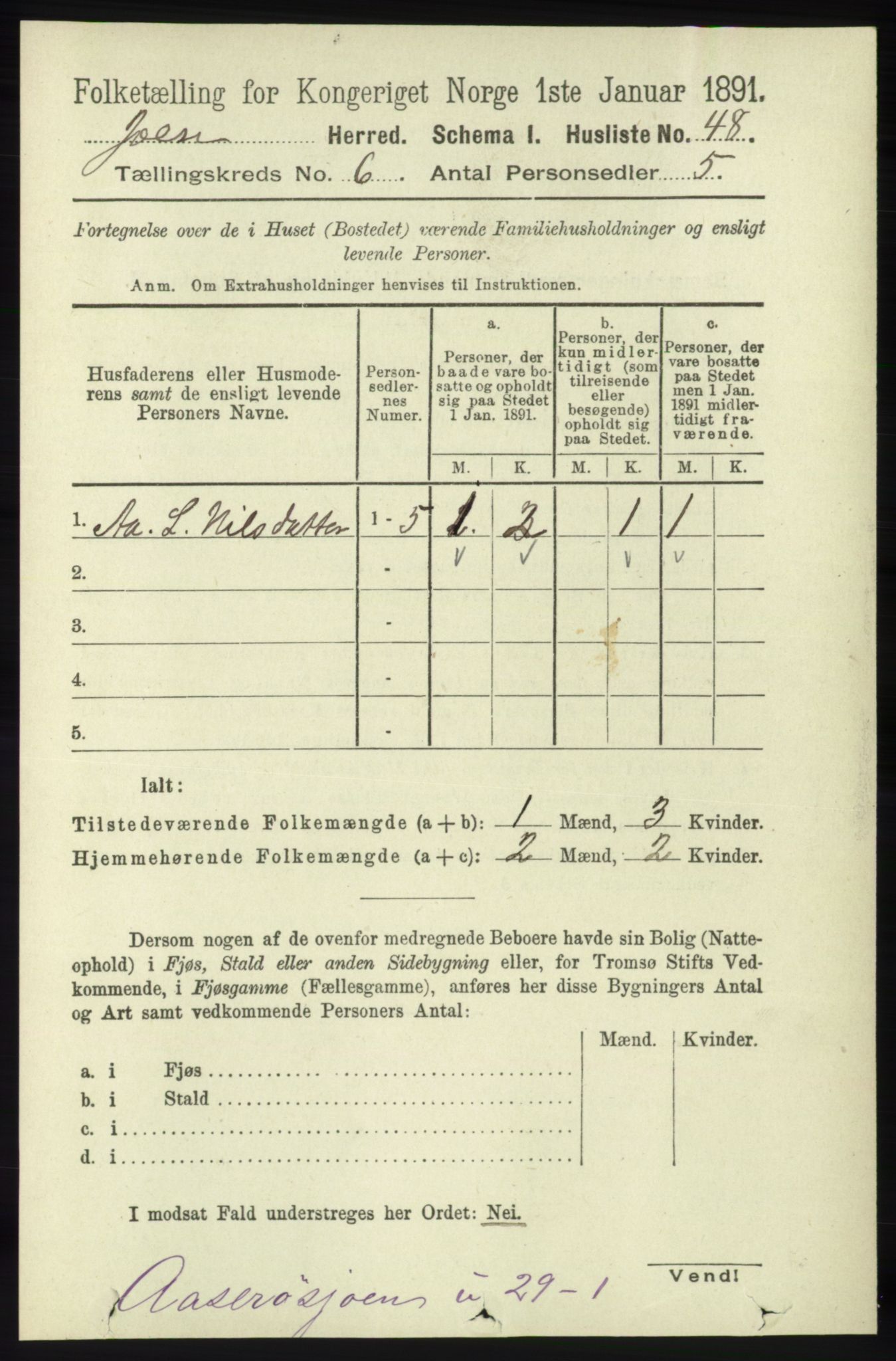 RA, 1891 census for 1138 Jelsa, 1891, p. 1202