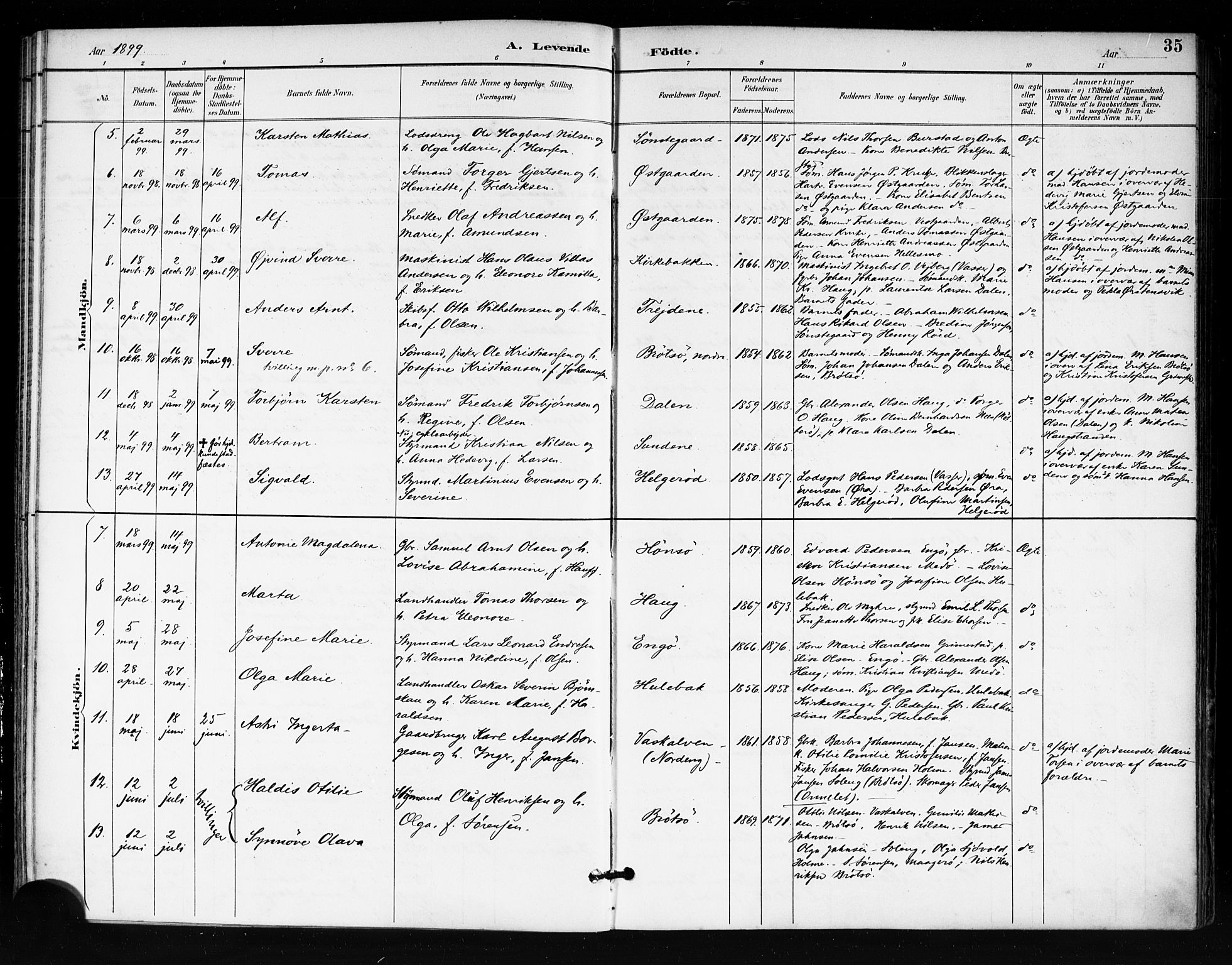 Tjøme kirkebøker, SAKO/A-328/F/Fa/L0003: Parish register (official) no. 3, 1891-1900, p. 35