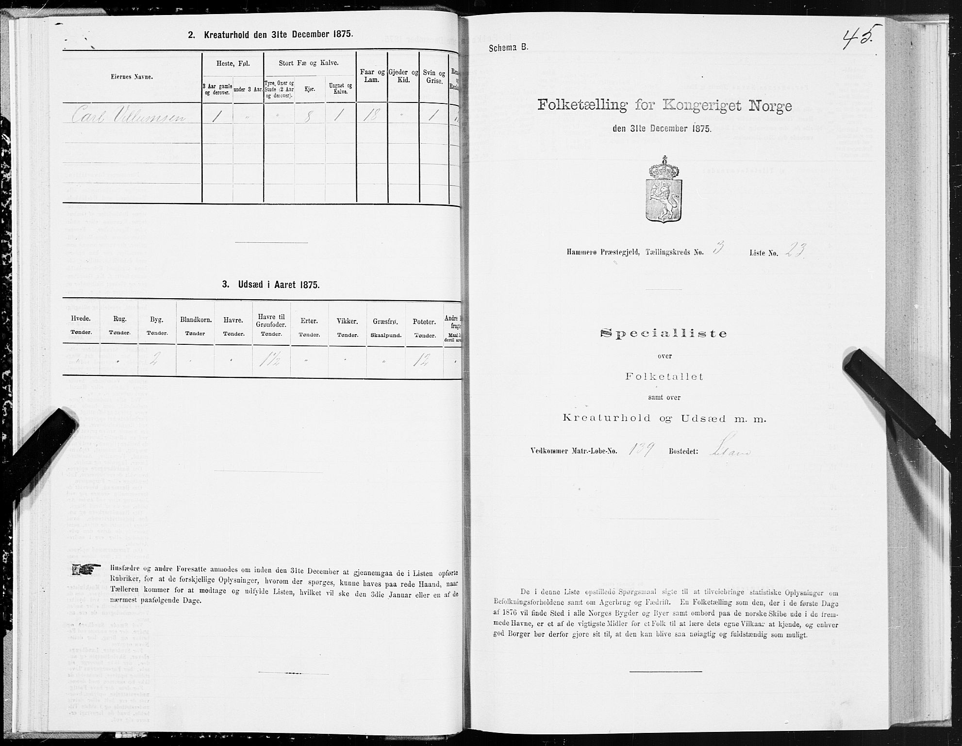 SAT, 1875 census for 1849P Hamarøy, 1875, p. 2045