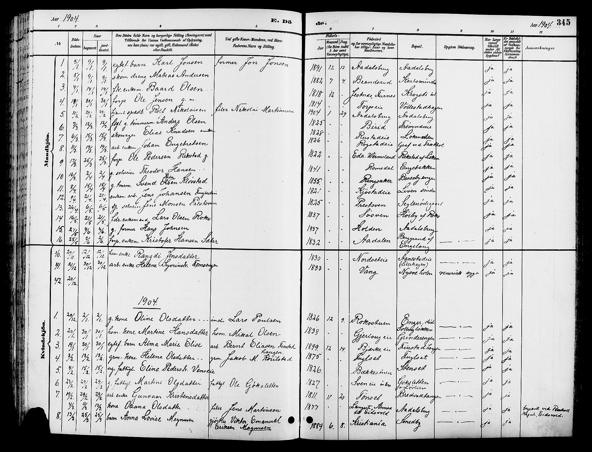 Løten prestekontor, AV/SAH-PREST-022/L/La/L0006: Parish register (copy) no. 6, 1892-1909, p. 345