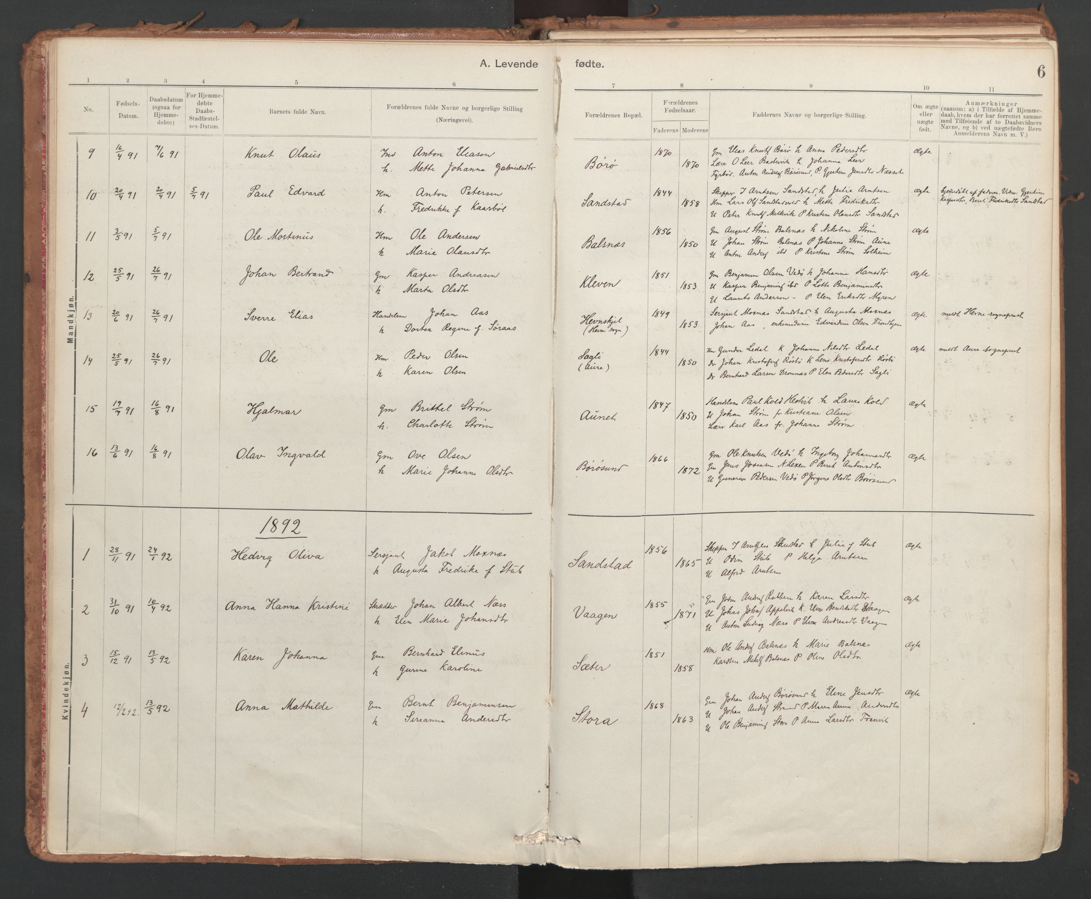 Ministerialprotokoller, klokkerbøker og fødselsregistre - Sør-Trøndelag, SAT/A-1456/639/L0572: Parish register (official) no. 639A01, 1890-1920, p. 6