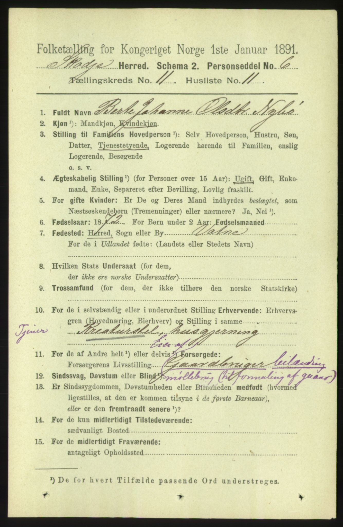 RA, 1891 census for 1529 Skodje, 1891, p. 2290