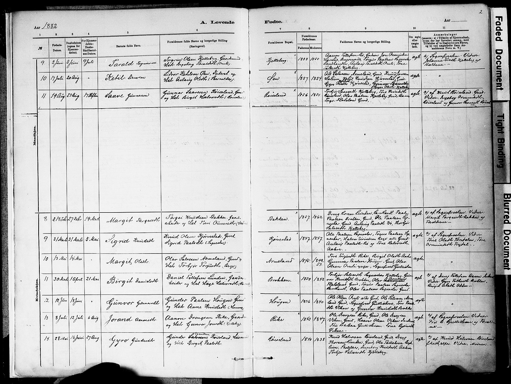 Valle sokneprestkontor, AV/SAK-1111-0044/F/Fa/Fac/L0009: Parish register (official) no. A 9, 1882-1913, p. 2