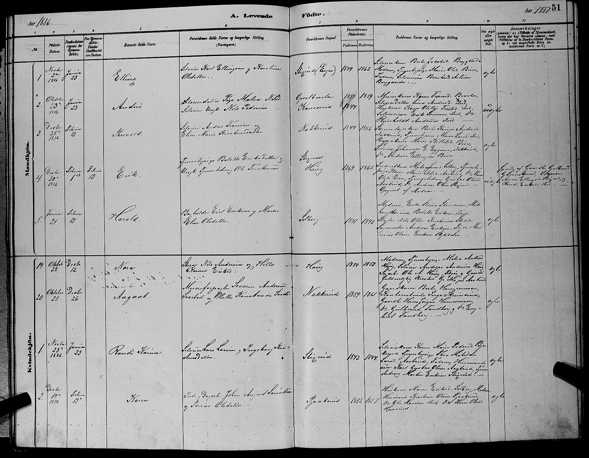 Hole kirkebøker, SAKO/A-228/G/Gb/L0002: Parish register (copy) no. II 2, 1878-1889, p. 51