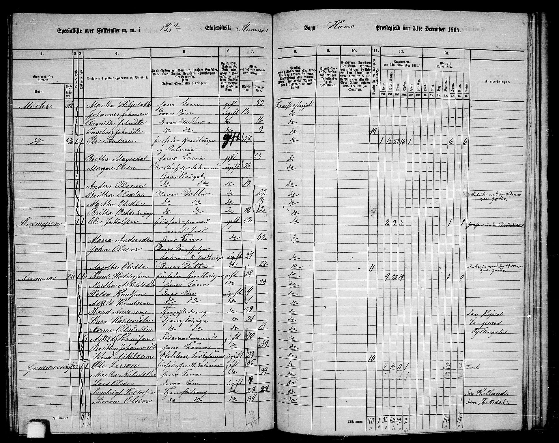 RA, 1865 census for Haus, 1865, p. 237