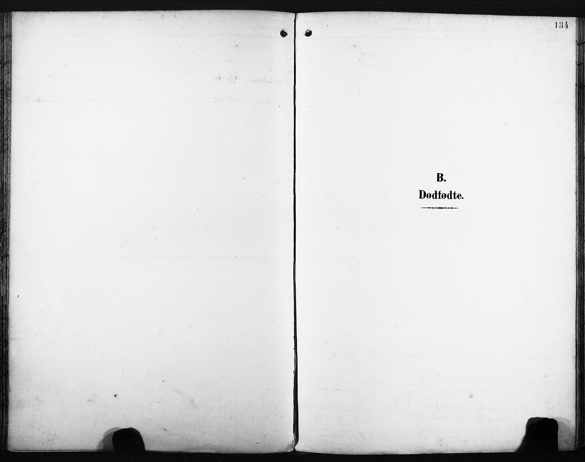 Nedre Eiker kirkebøker, AV/SAKO-A-612/F/Fa/L0005: Parish register (official) no. 5, 1898-1905, p. 134