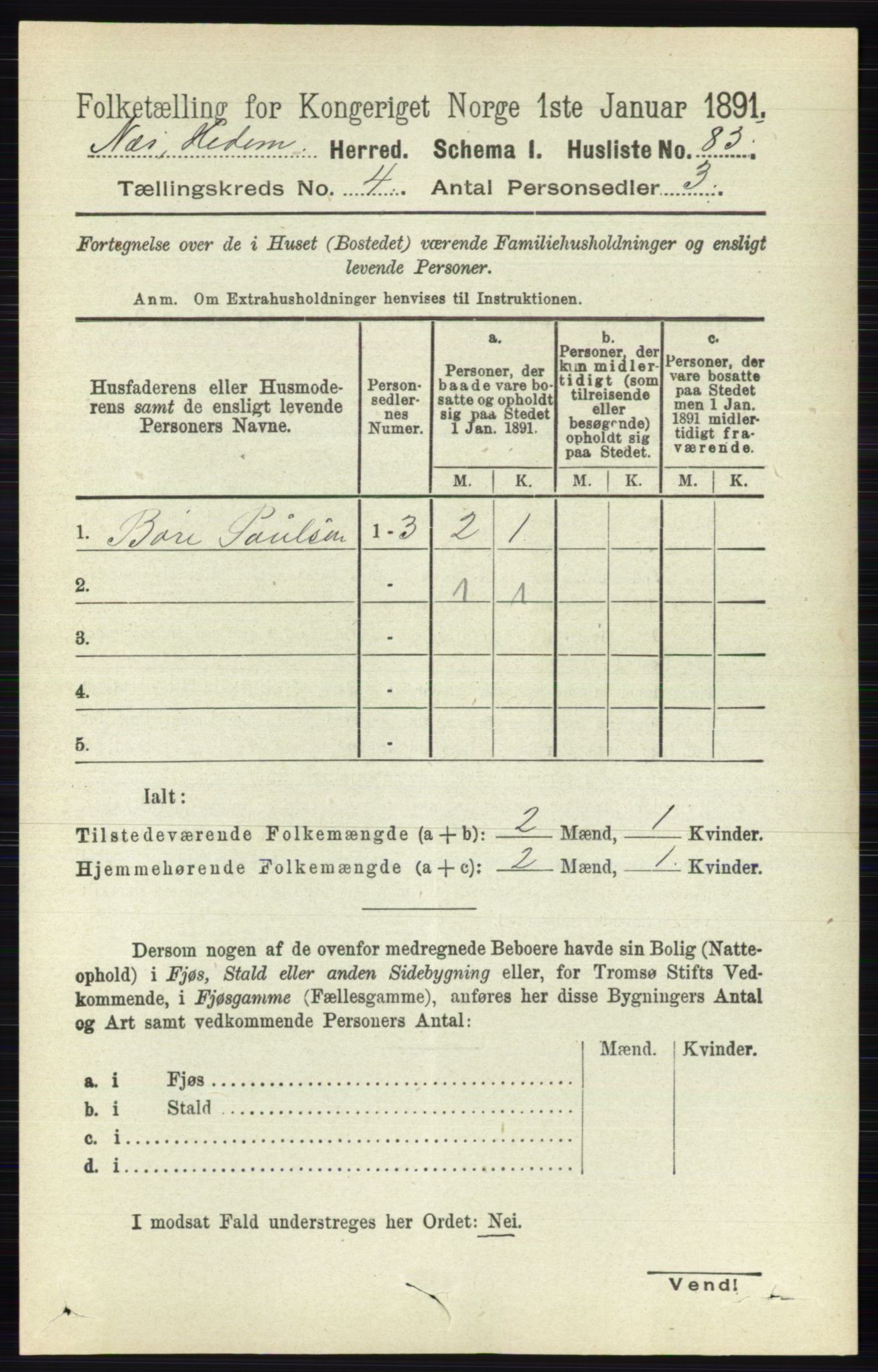 RA, 1891 census for 0411 Nes, 1891, p. 2038