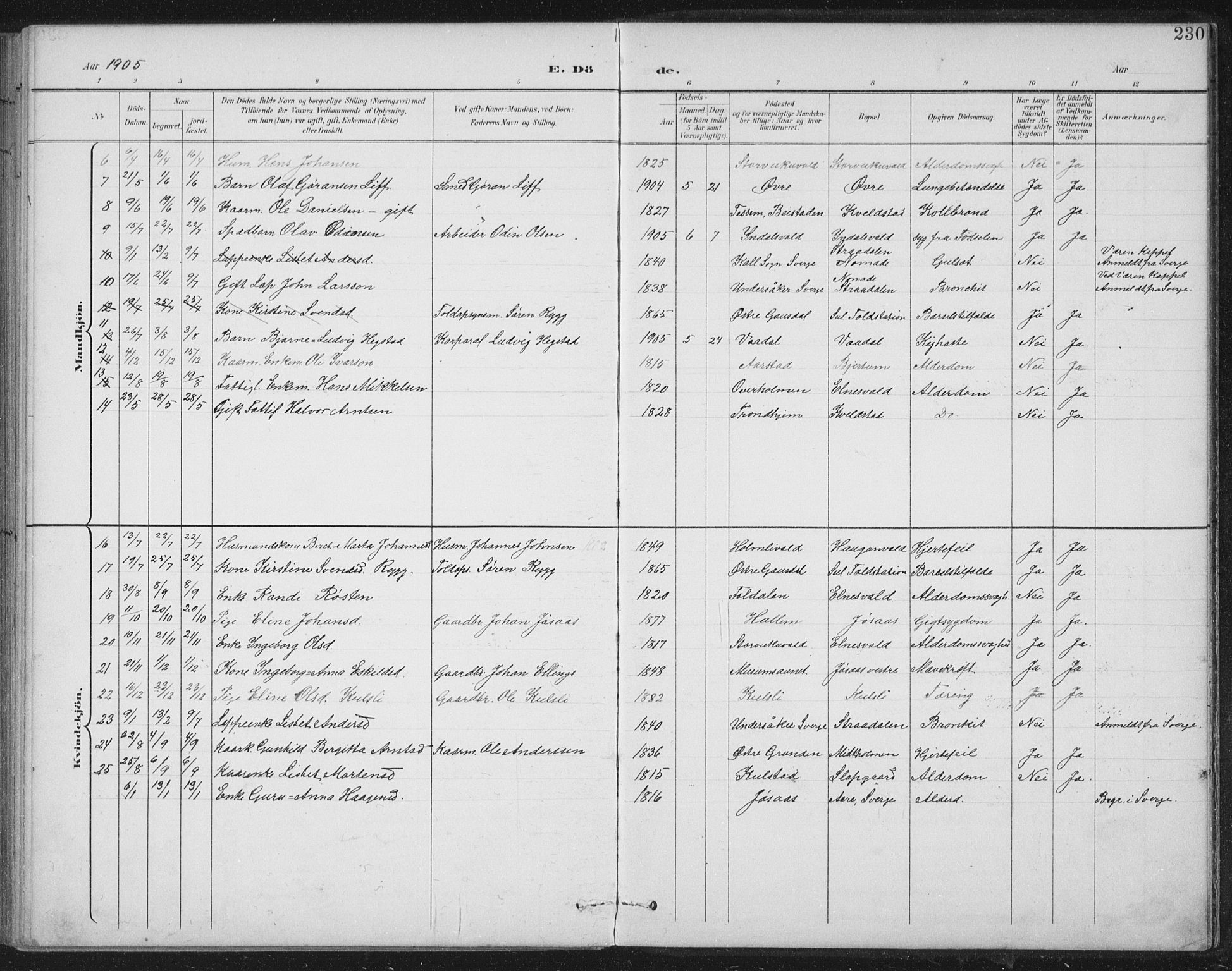 Ministerialprotokoller, klokkerbøker og fødselsregistre - Nord-Trøndelag, SAT/A-1458/724/L0269: Parish register (copy) no. 724C05, 1899-1920, p. 230
