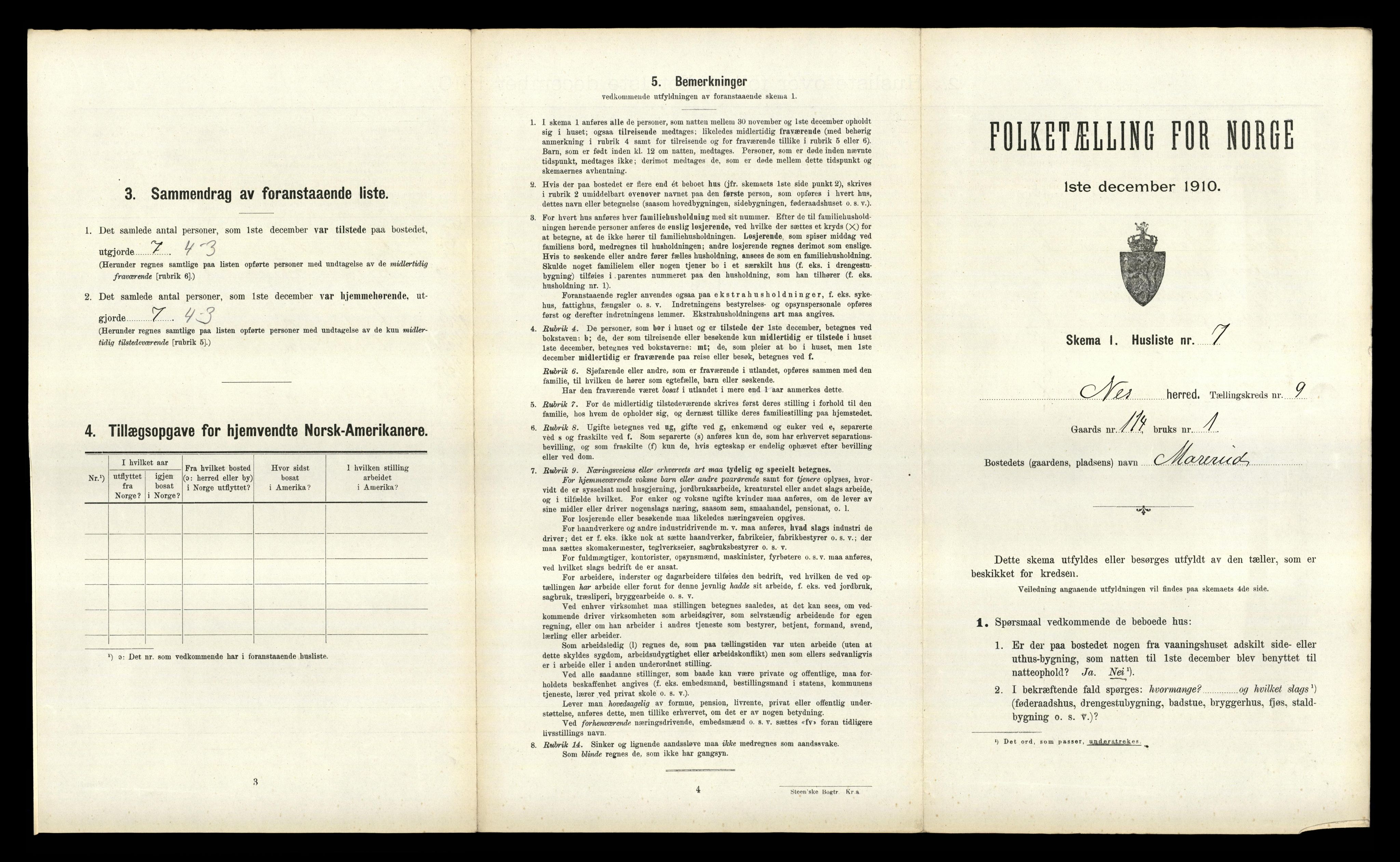 RA, 1910 census for Nes, 1910, p. 1308