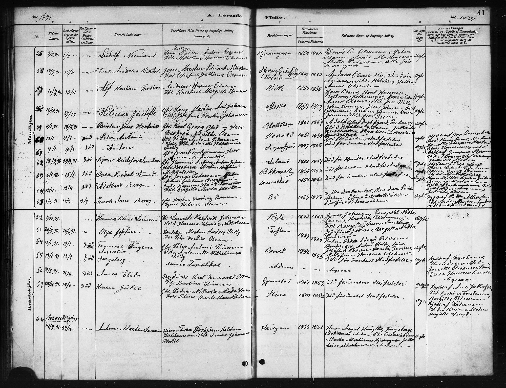 Ministerialprotokoller, klokkerbøker og fødselsregistre - Nordland, AV/SAT-A-1459/895/L1382: Parish register (copy) no. 895C04, 1885-1896, p. 41