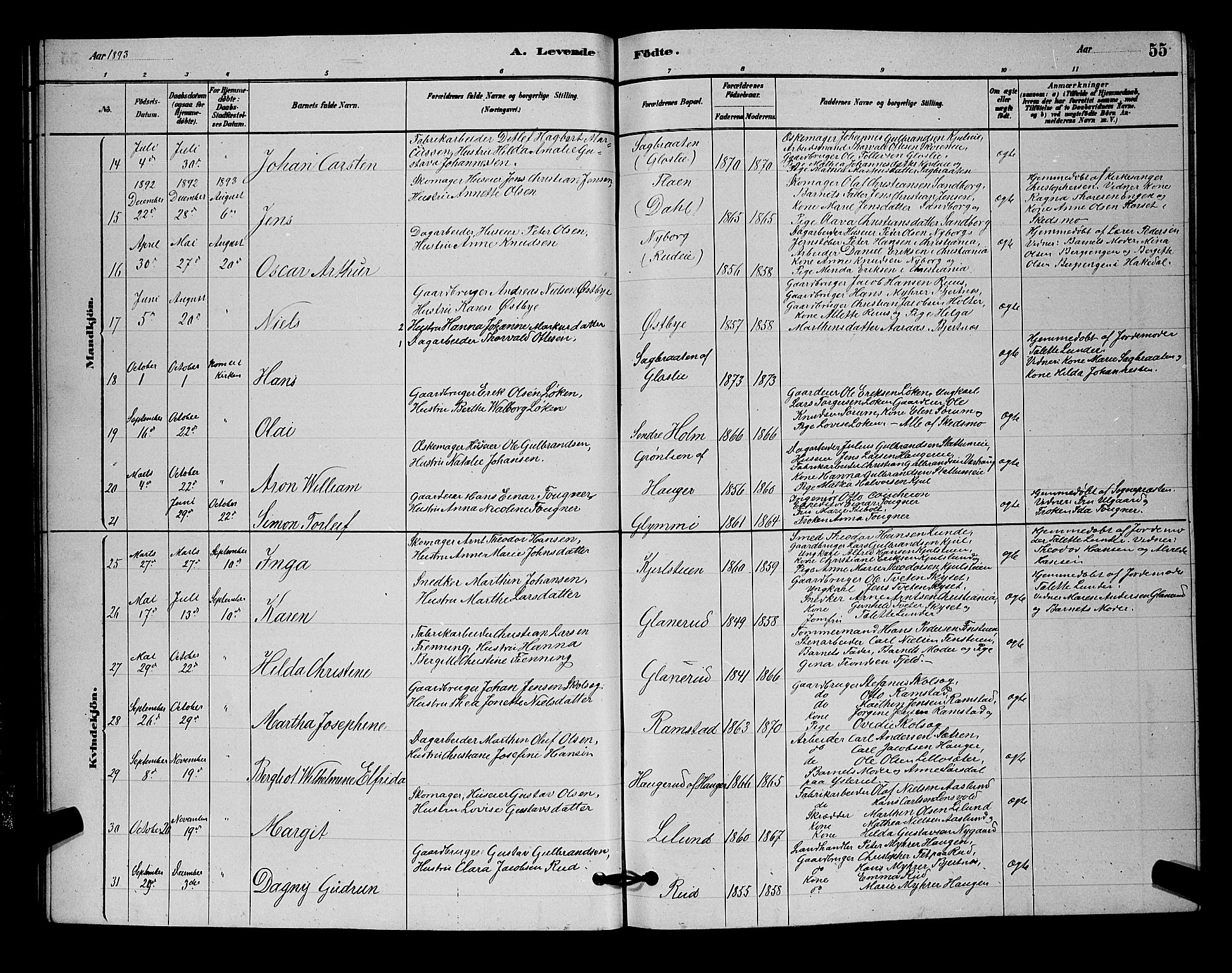 Nittedal prestekontor Kirkebøker, SAO/A-10365a/G/Ga/L0002: Parish register (copy) no. I 2, 1879-1901, p. 55