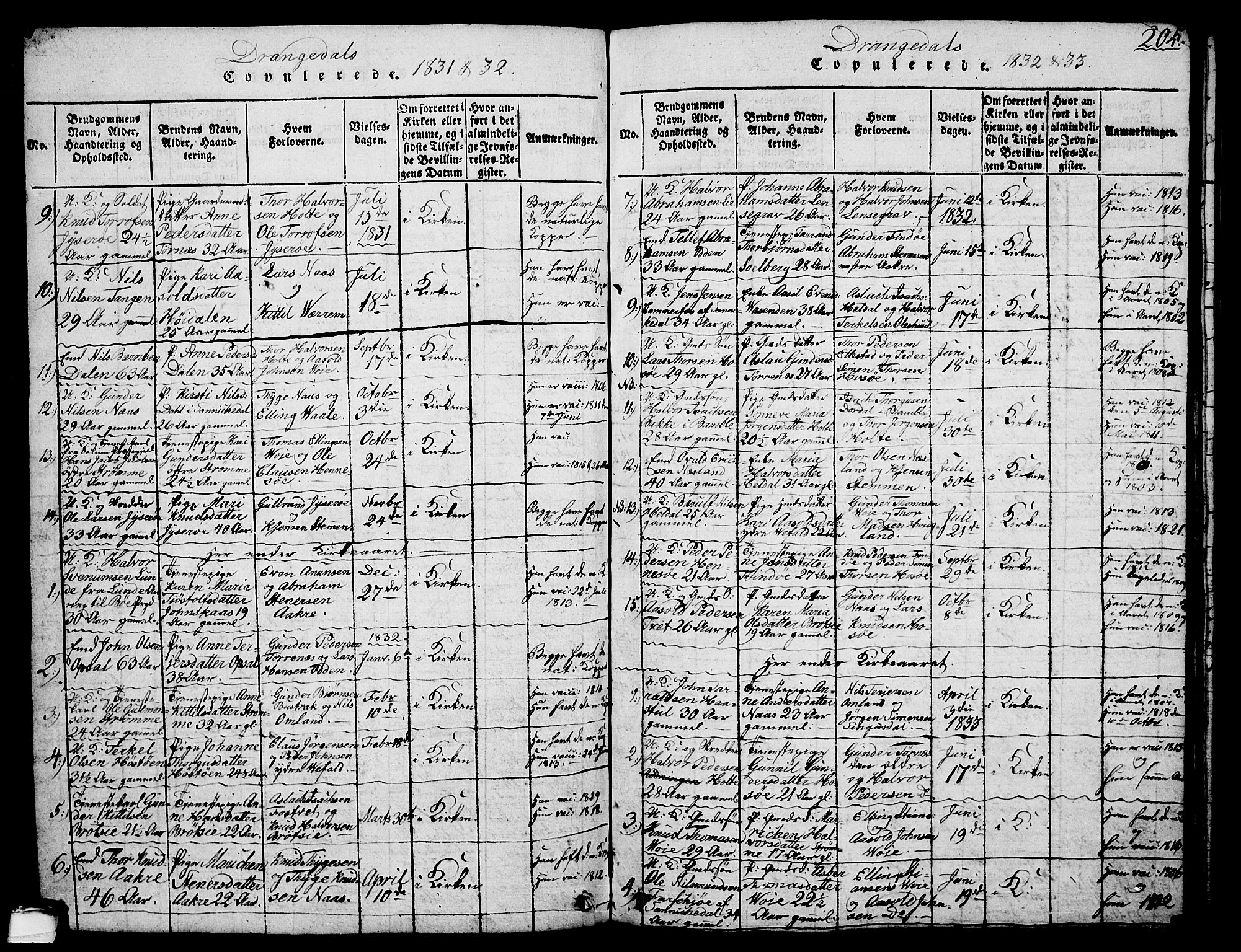 Drangedal kirkebøker, SAKO/A-258/G/Ga/L0001: Parish register (copy) no. I 1 /1, 1814-1856, p. 204