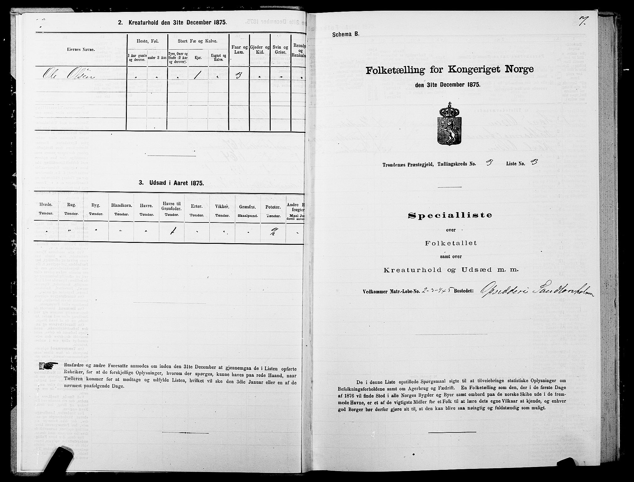 SATØ, 1875 census for 1914P Trondenes, 1875, p. 3007