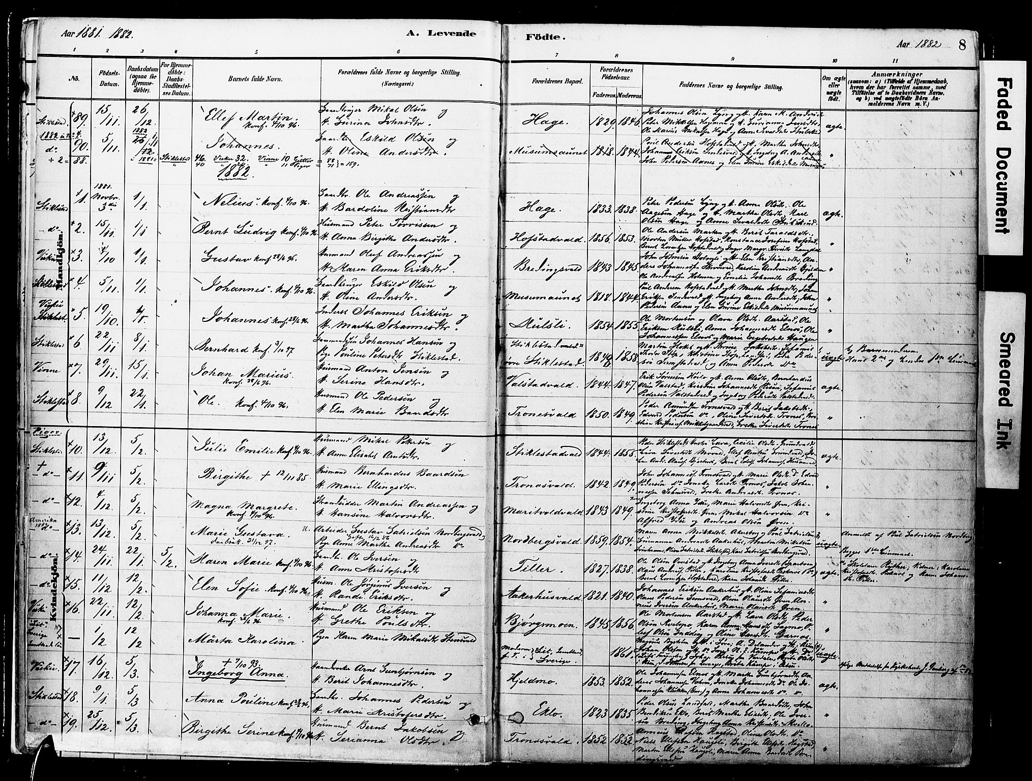Ministerialprotokoller, klokkerbøker og fødselsregistre - Nord-Trøndelag, SAT/A-1458/723/L0244: Parish register (official) no. 723A13, 1881-1899, p. 8