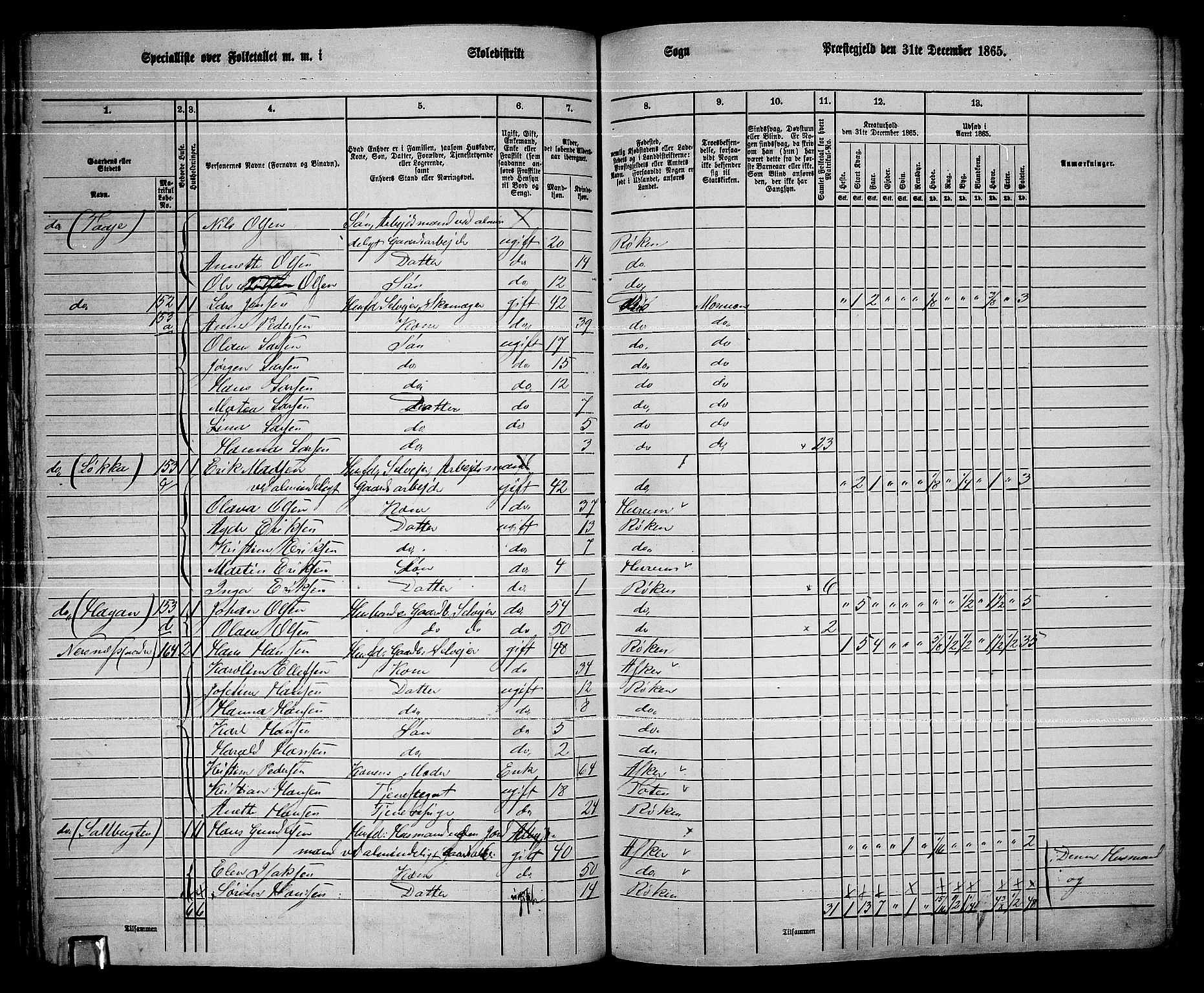 RA, 1865 census for Røyken, 1865, p. 61