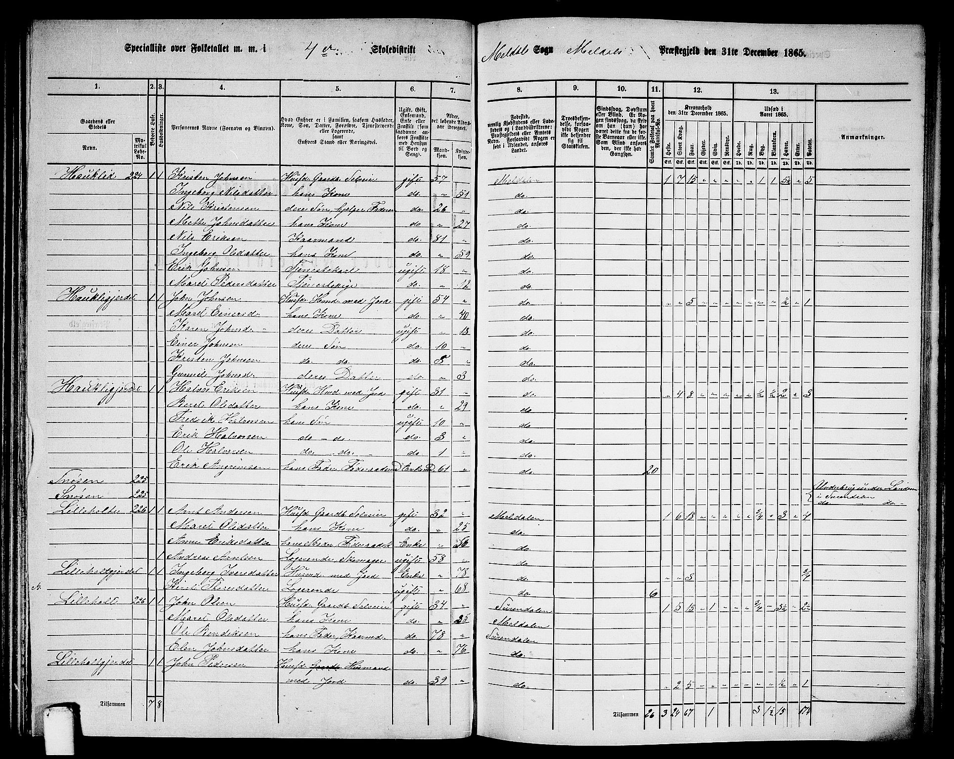 RA, 1865 census for Meldal, 1865, p. 101